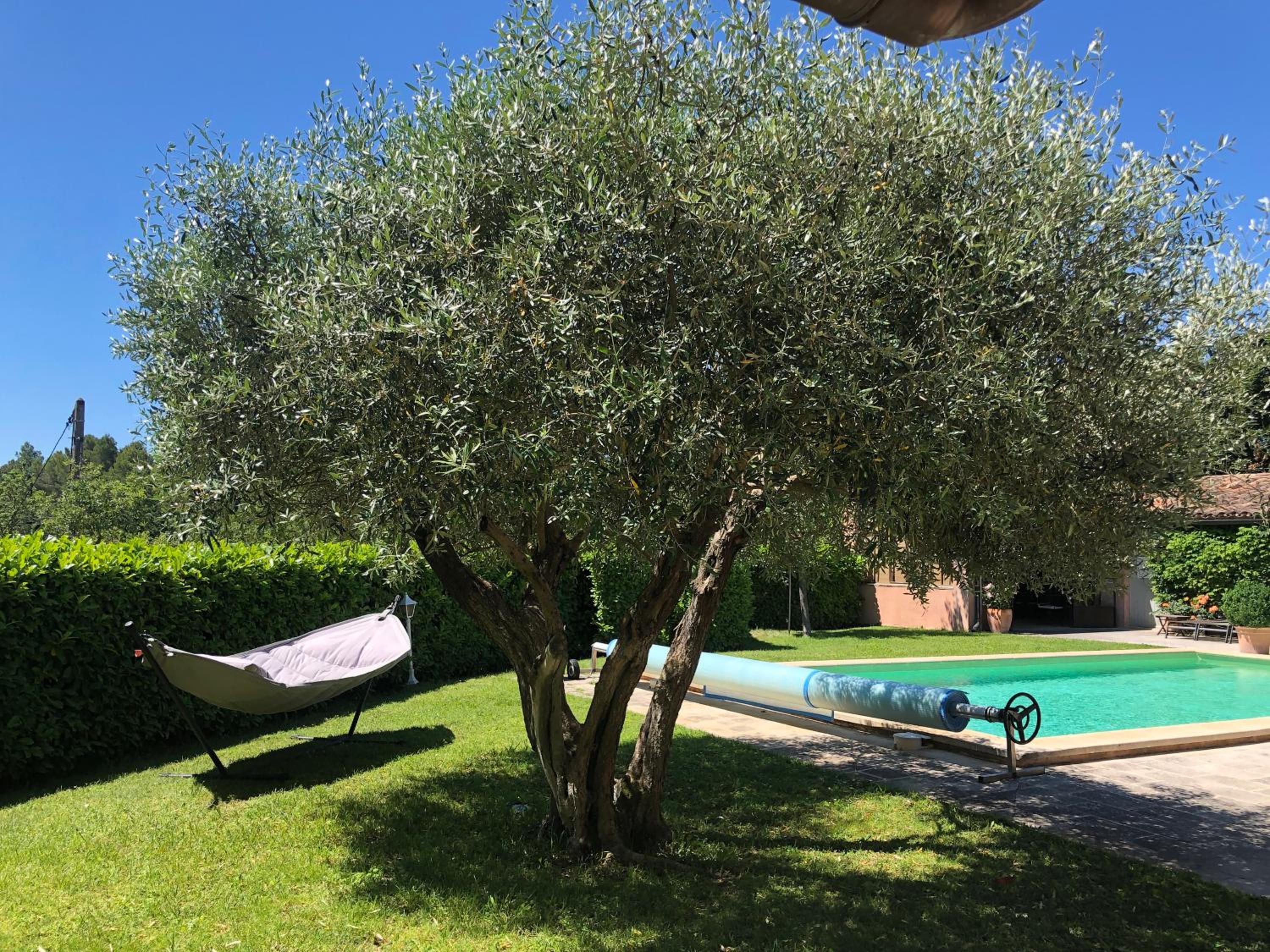 B&B La Badelle view 4