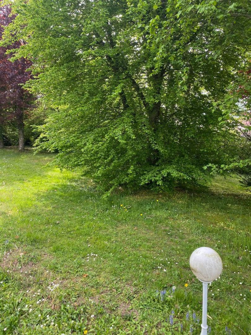Photo 31