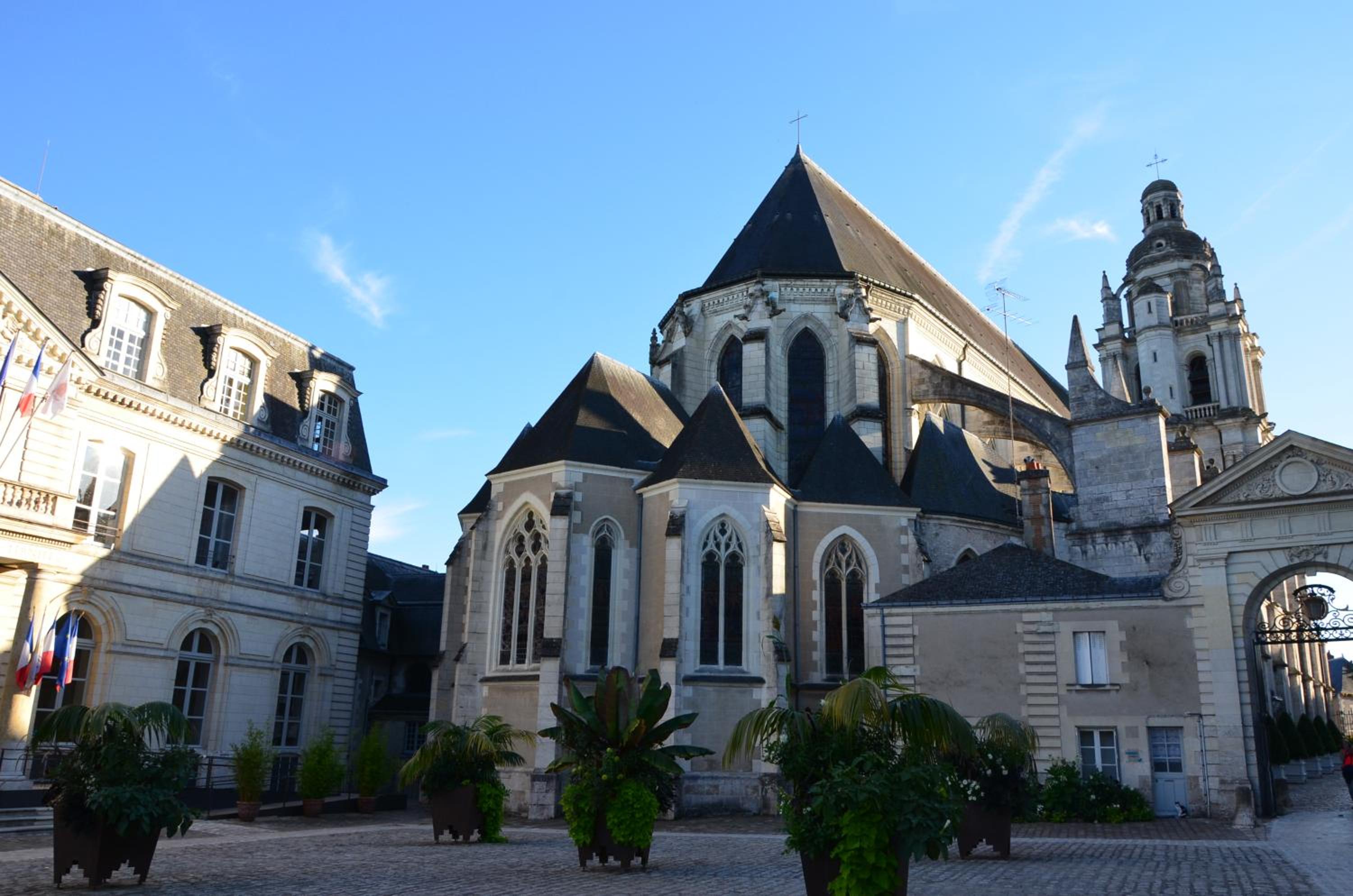 Photo 20