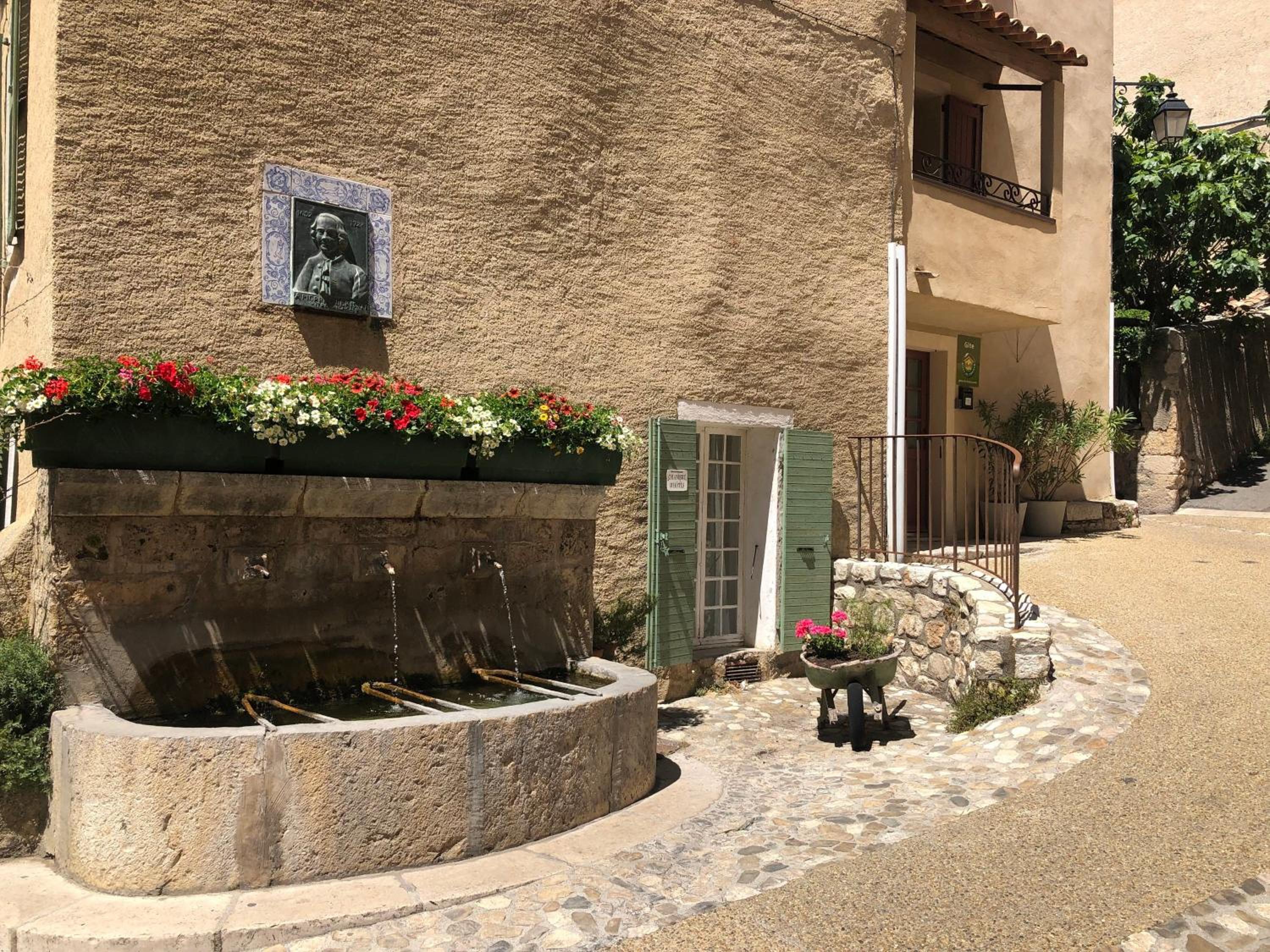 Photo 15