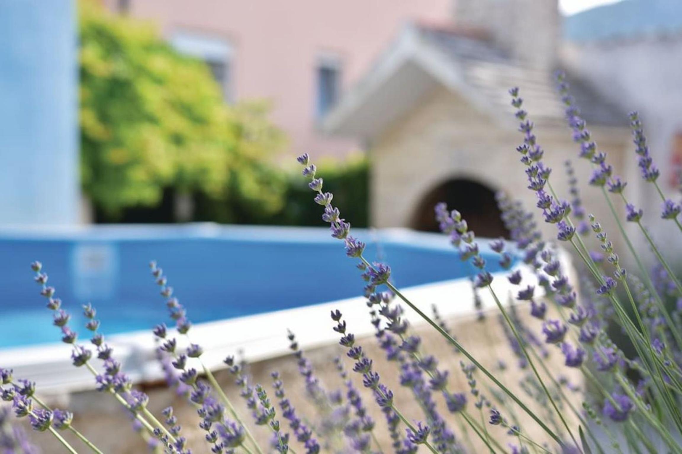 Country House Mar Il — photo 3