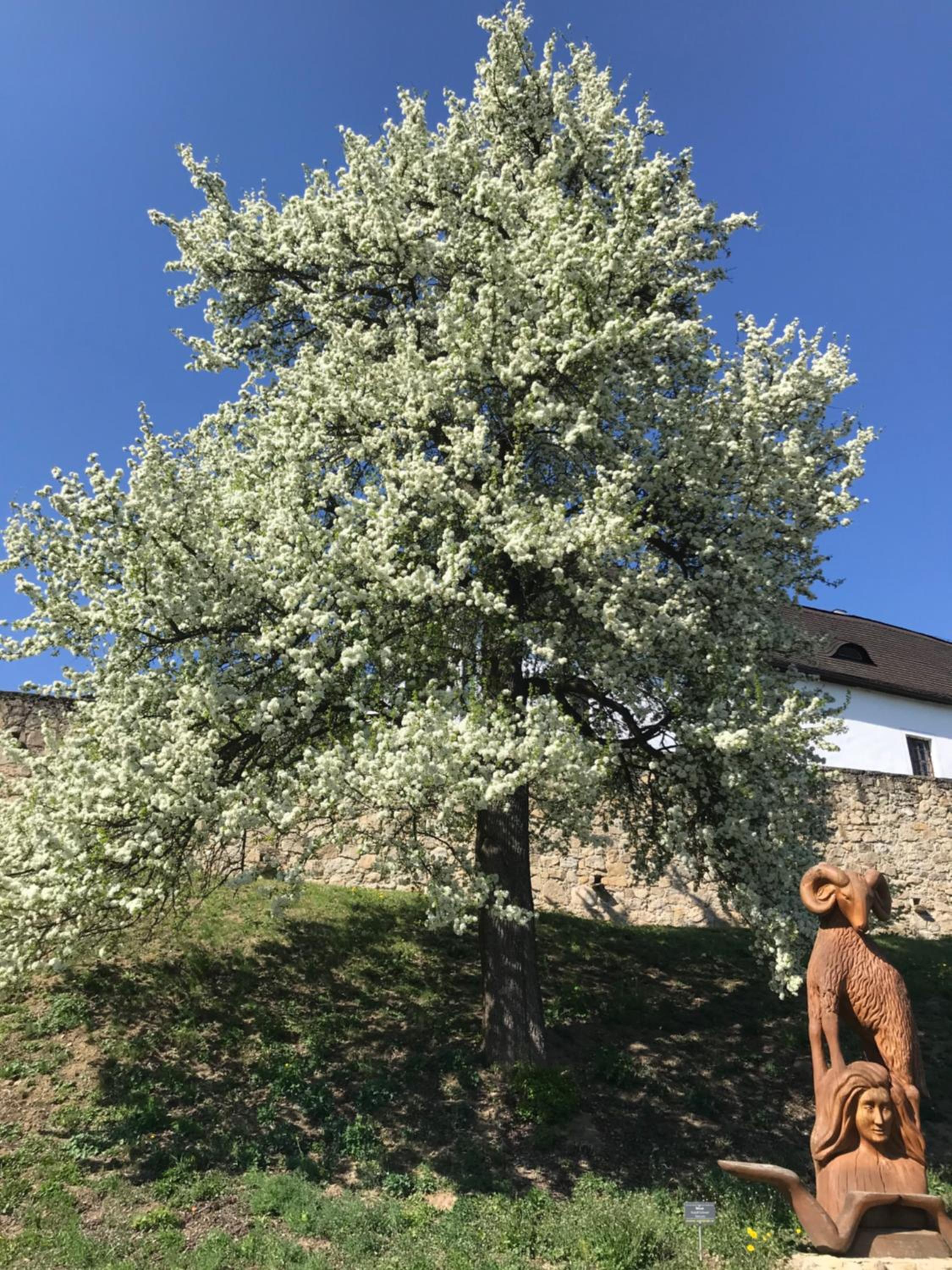 Penzion Marie - Žumberk
