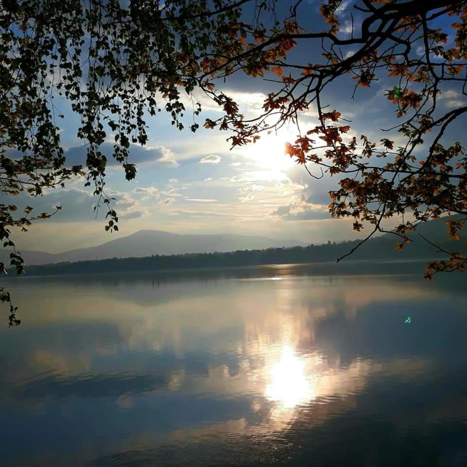 Domki nad jeziorem