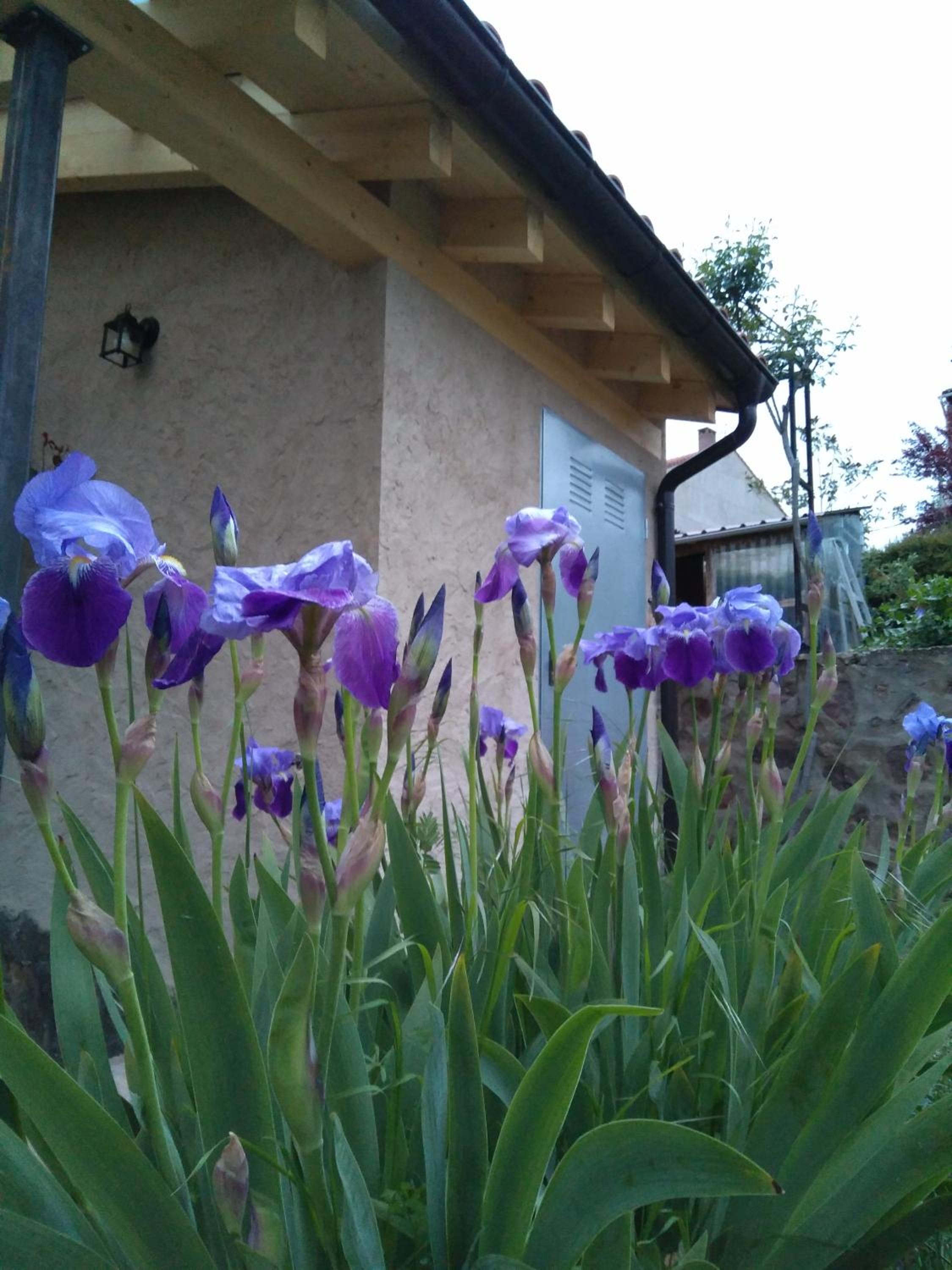 Casa Rural Marem photo 2