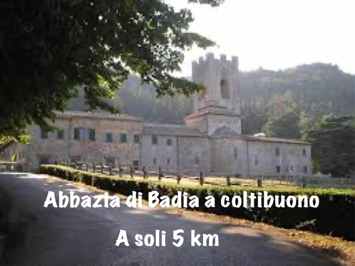 Photo 39