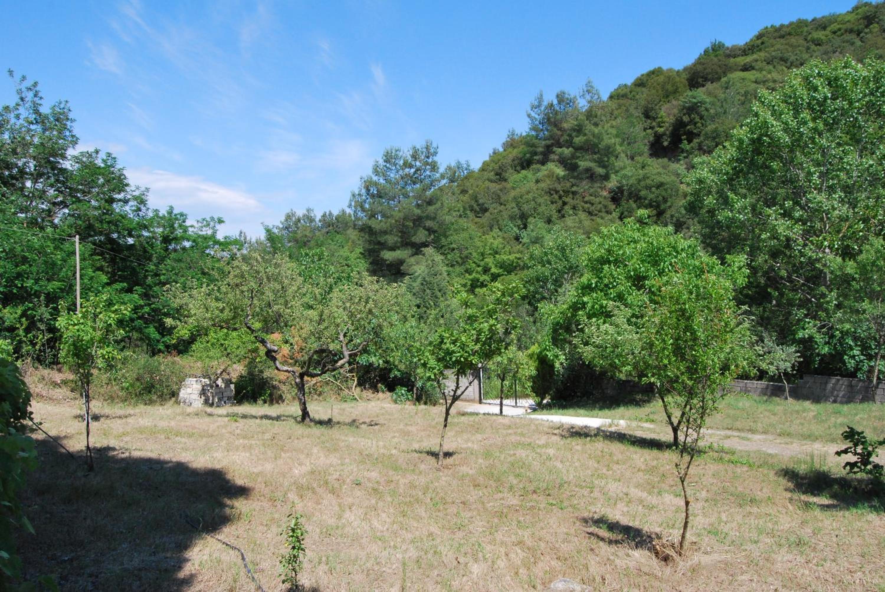 Ktima Garidis view 2