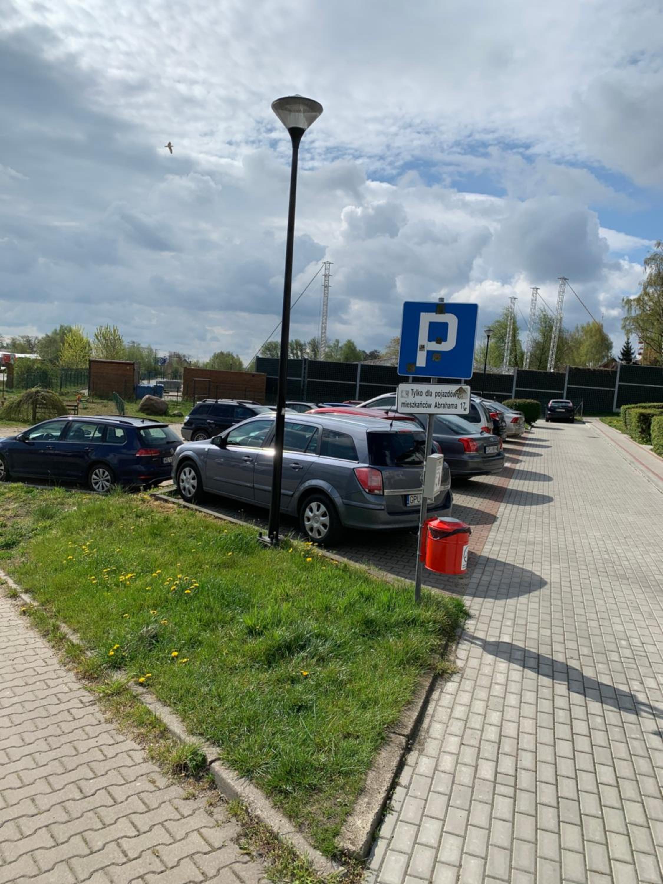 Photo 19