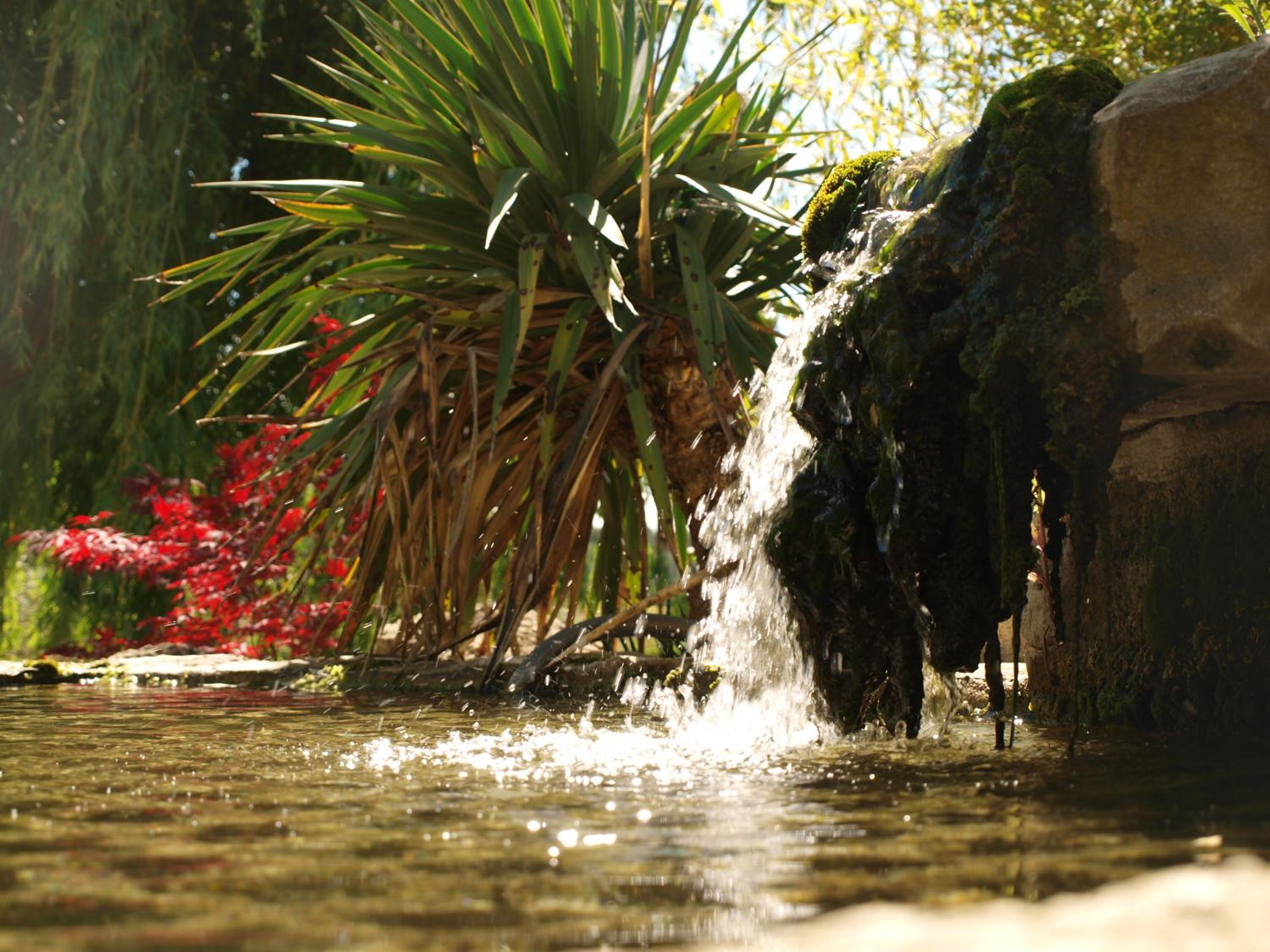 jardin d'antan view 2