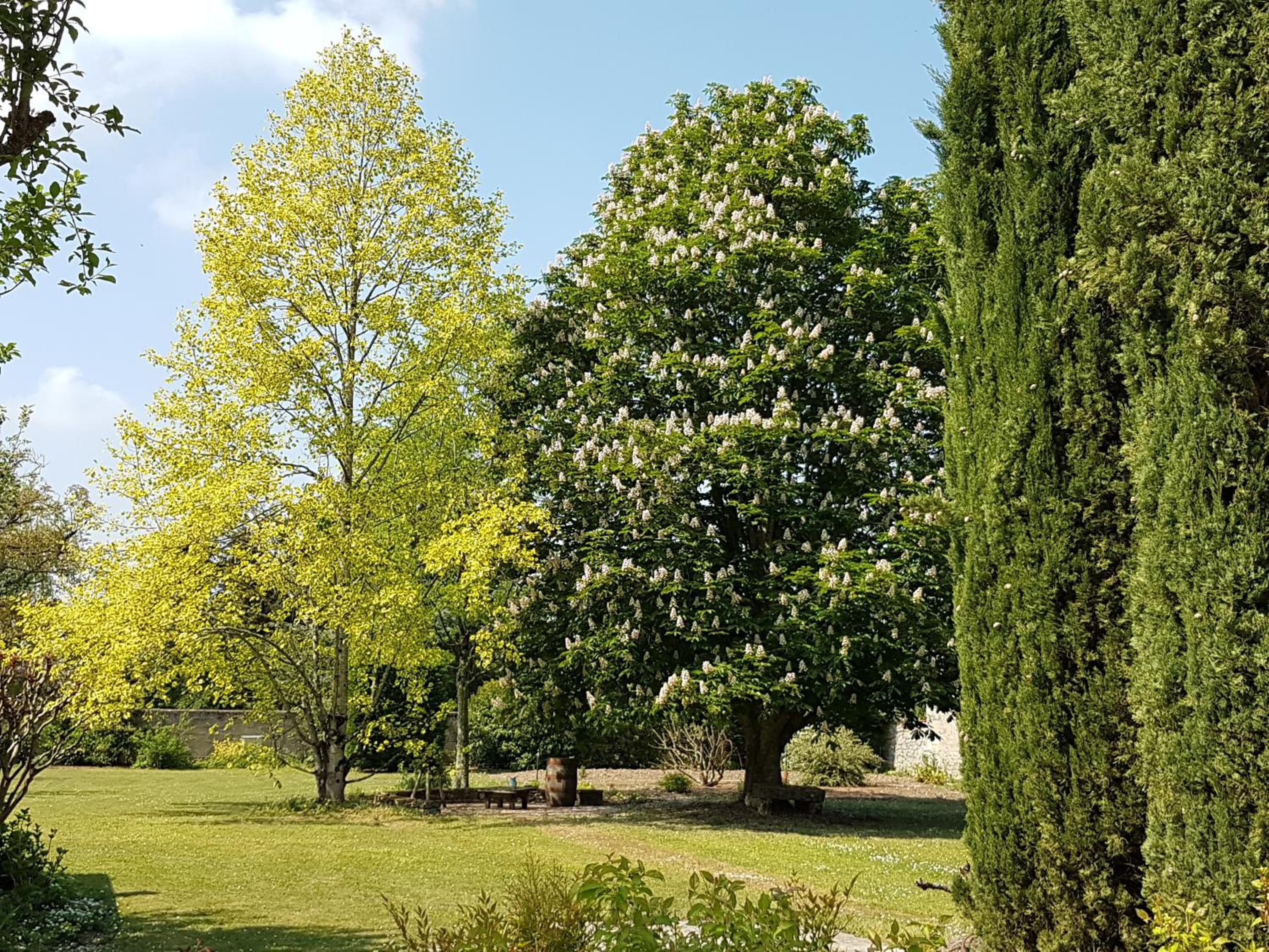 la blanchetière view 2