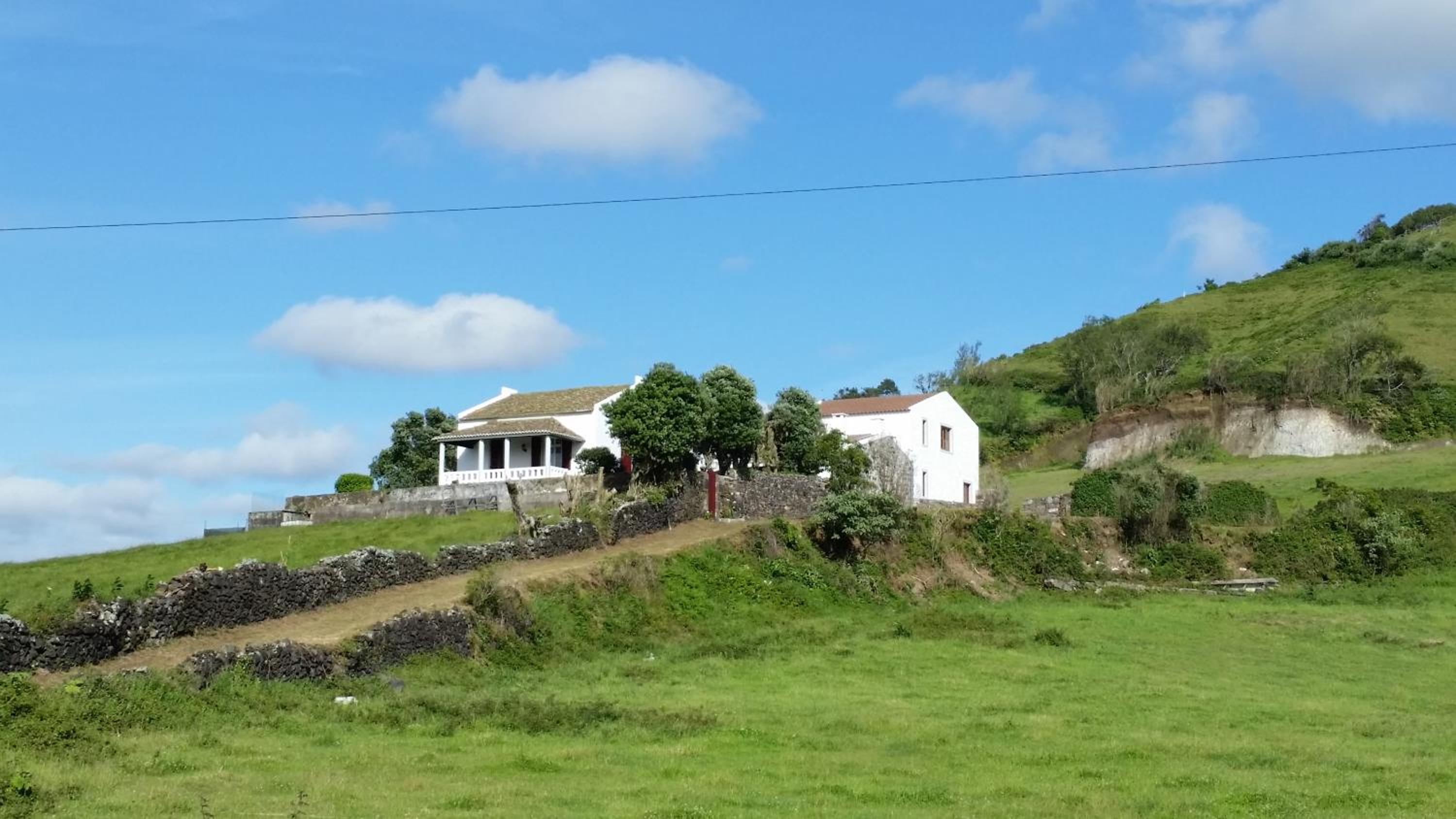 Green and Blue Cottage