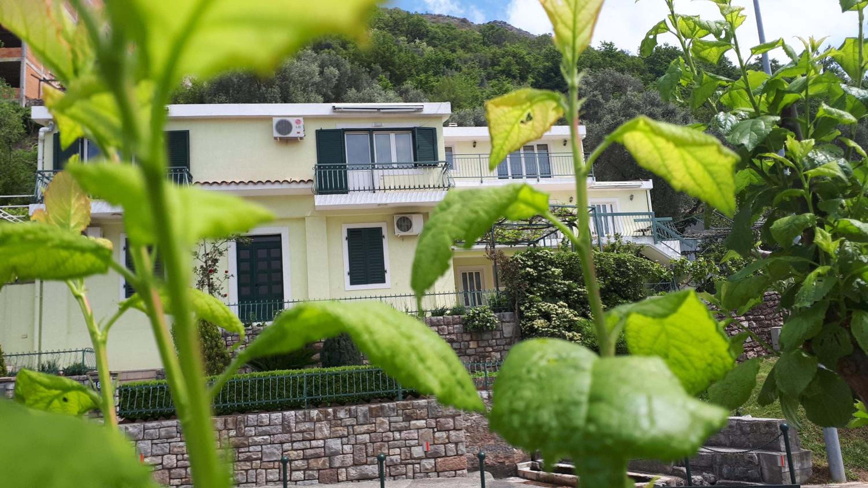 Photo 72