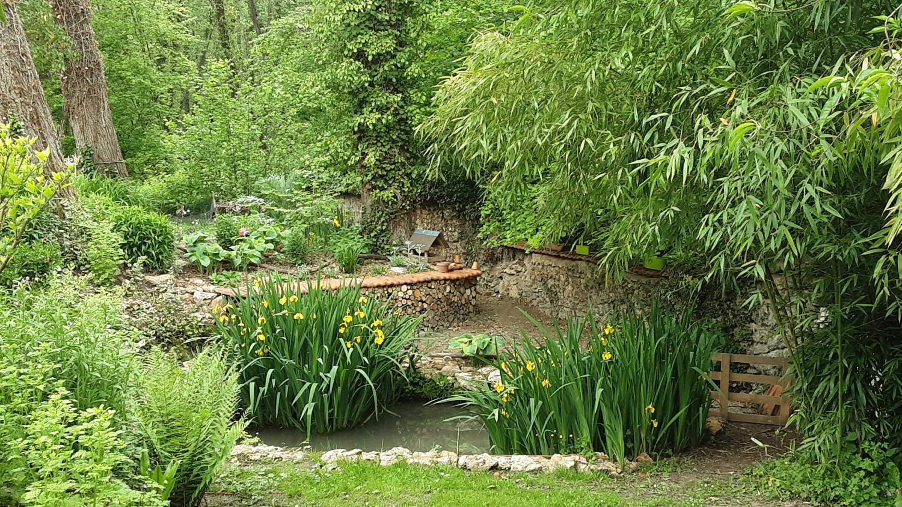 Photo 23