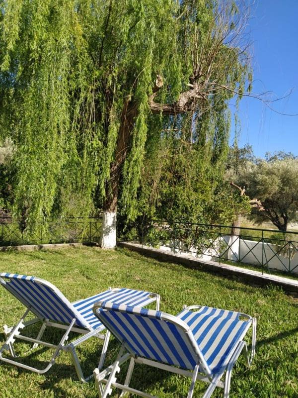 Photo 44