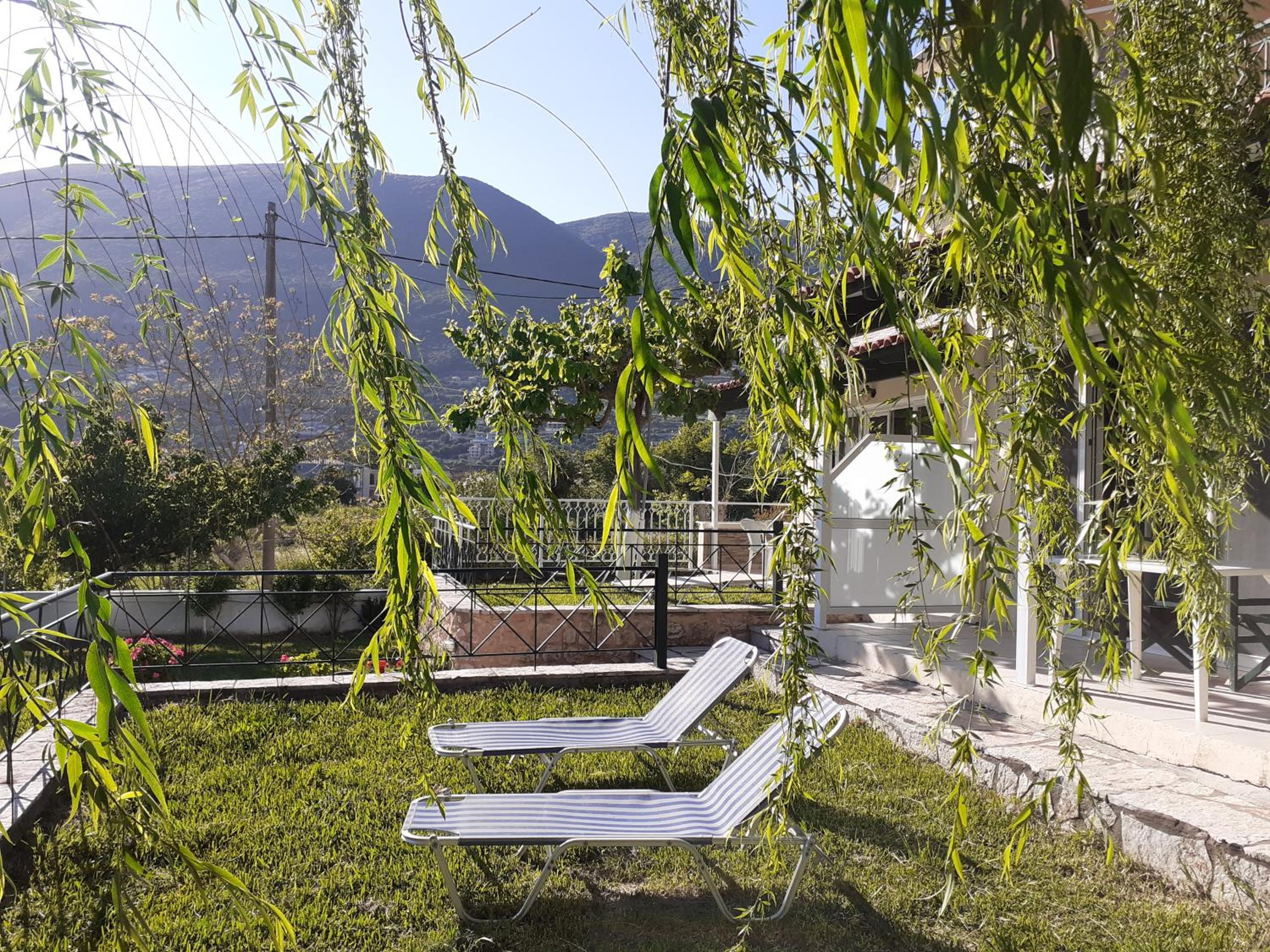 Photo 42