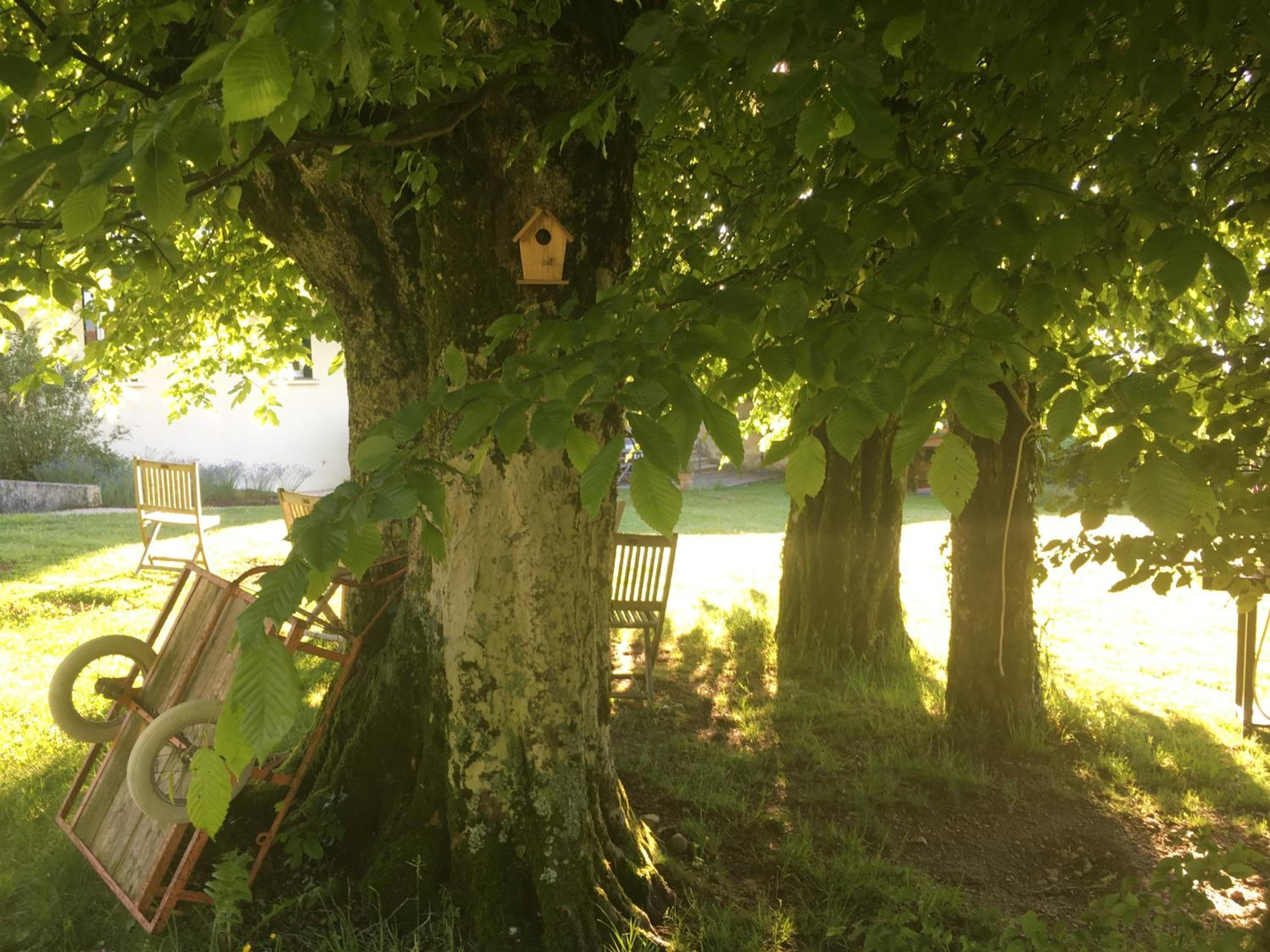 Photo 21