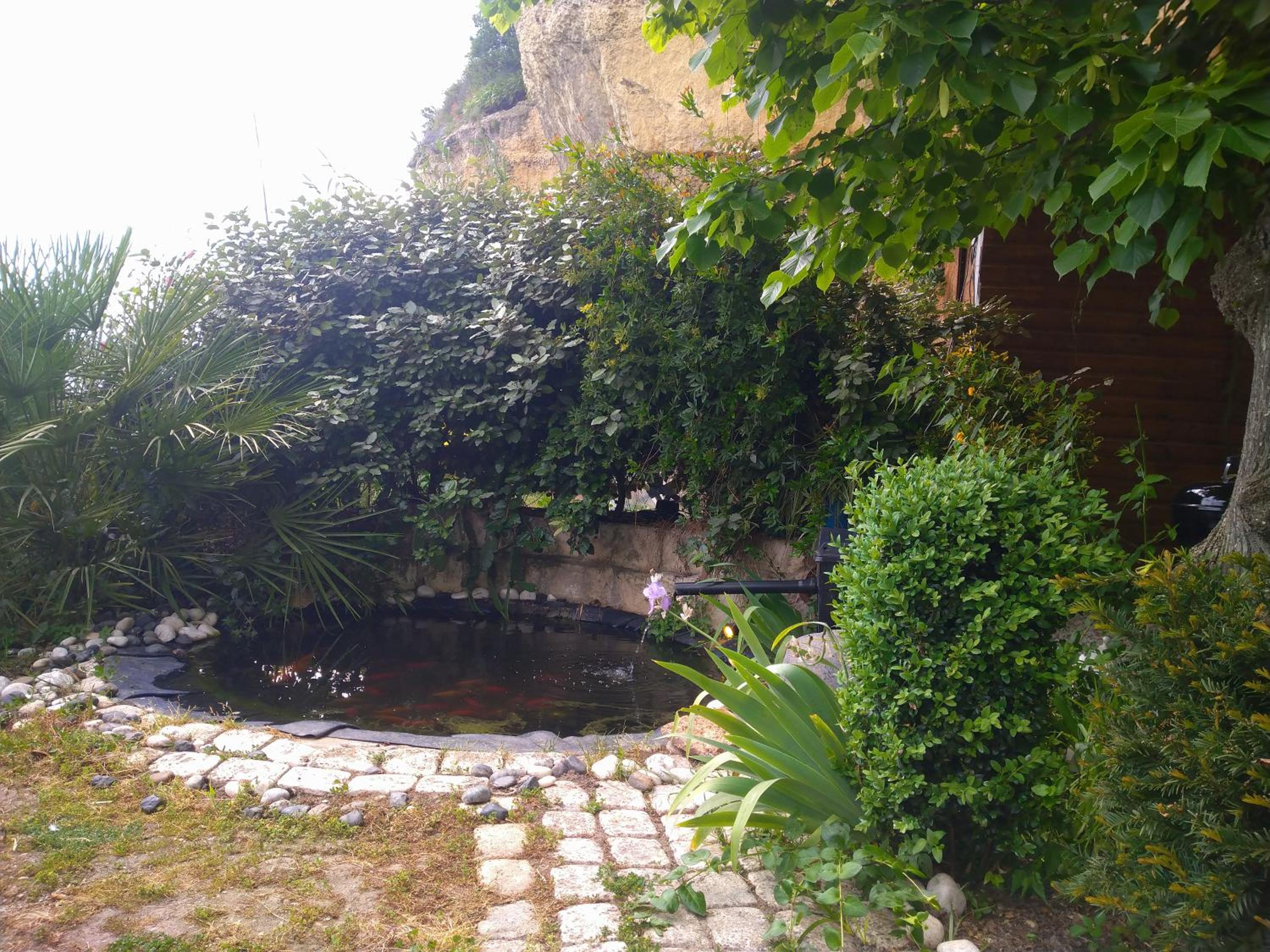 Photo 54