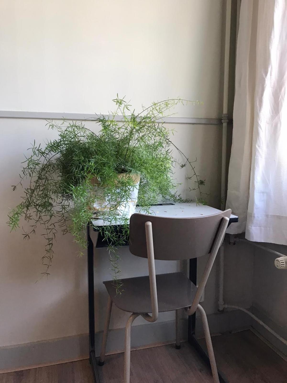 B&B de Hoop