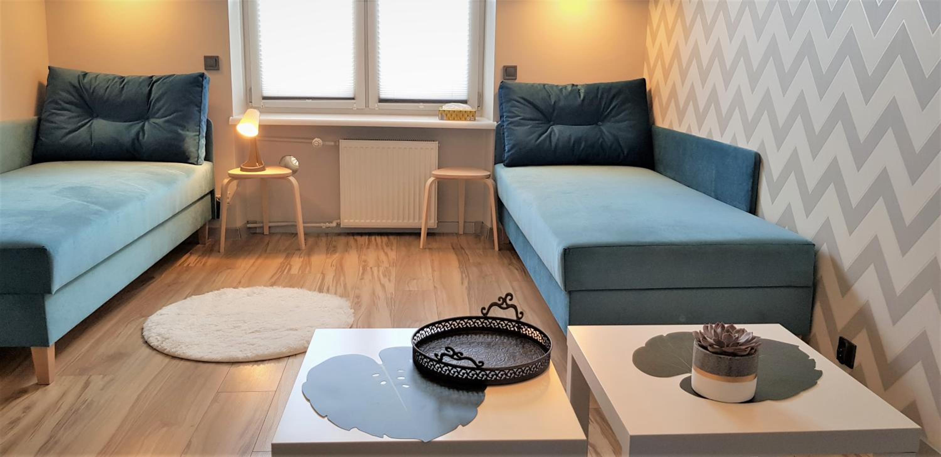 APARTAMENT CENTRUM PARK ul WASZYNGTONA view 3