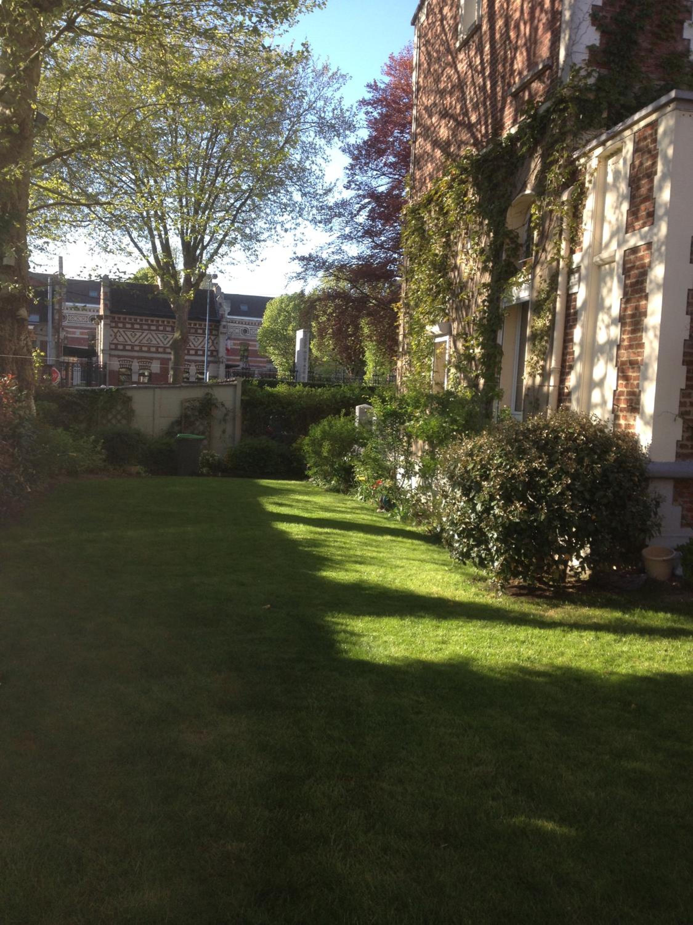 Photo 19
