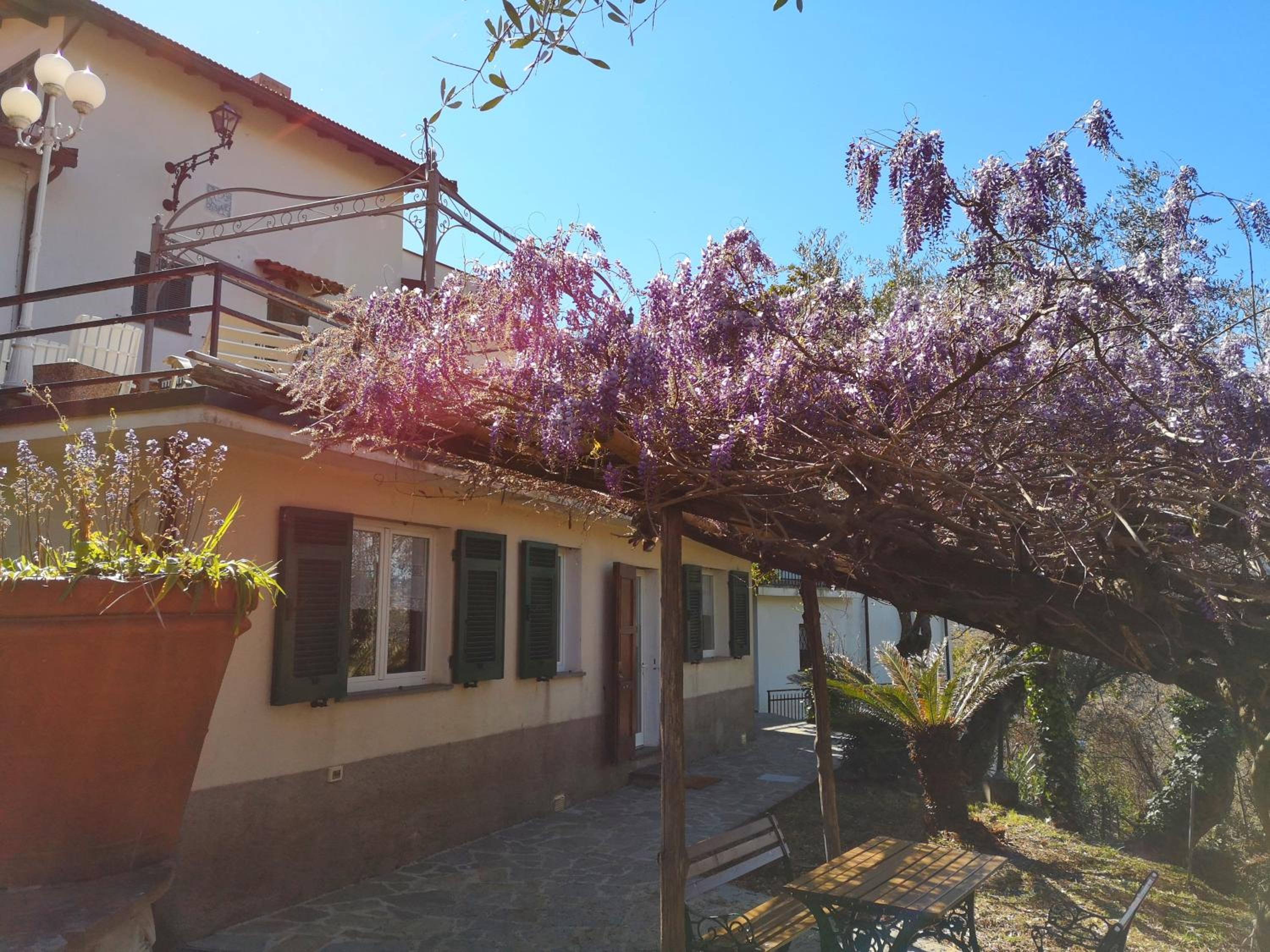 La Vivagna - Casa vista mare tra gli ulivi view 2