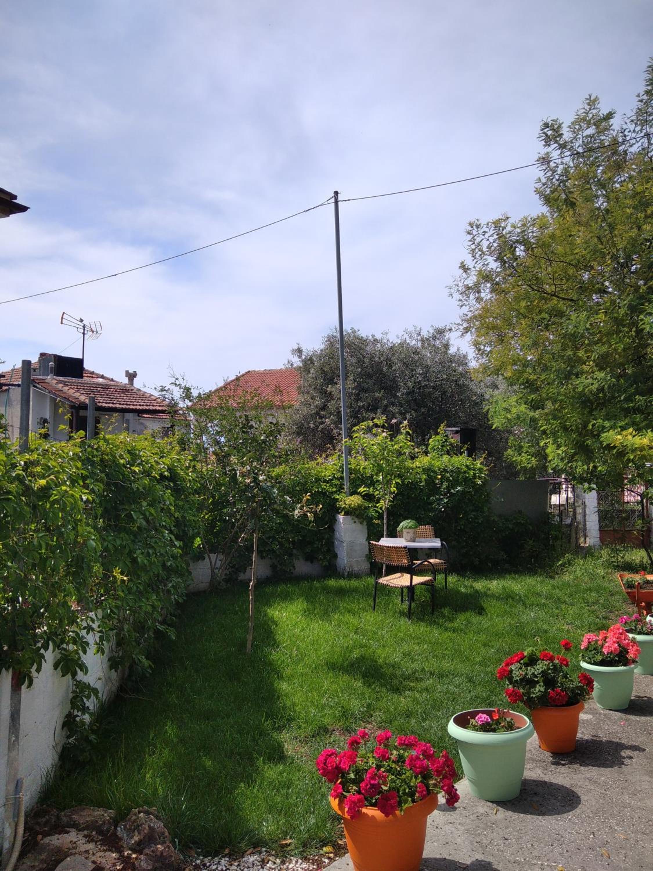 Photo 28