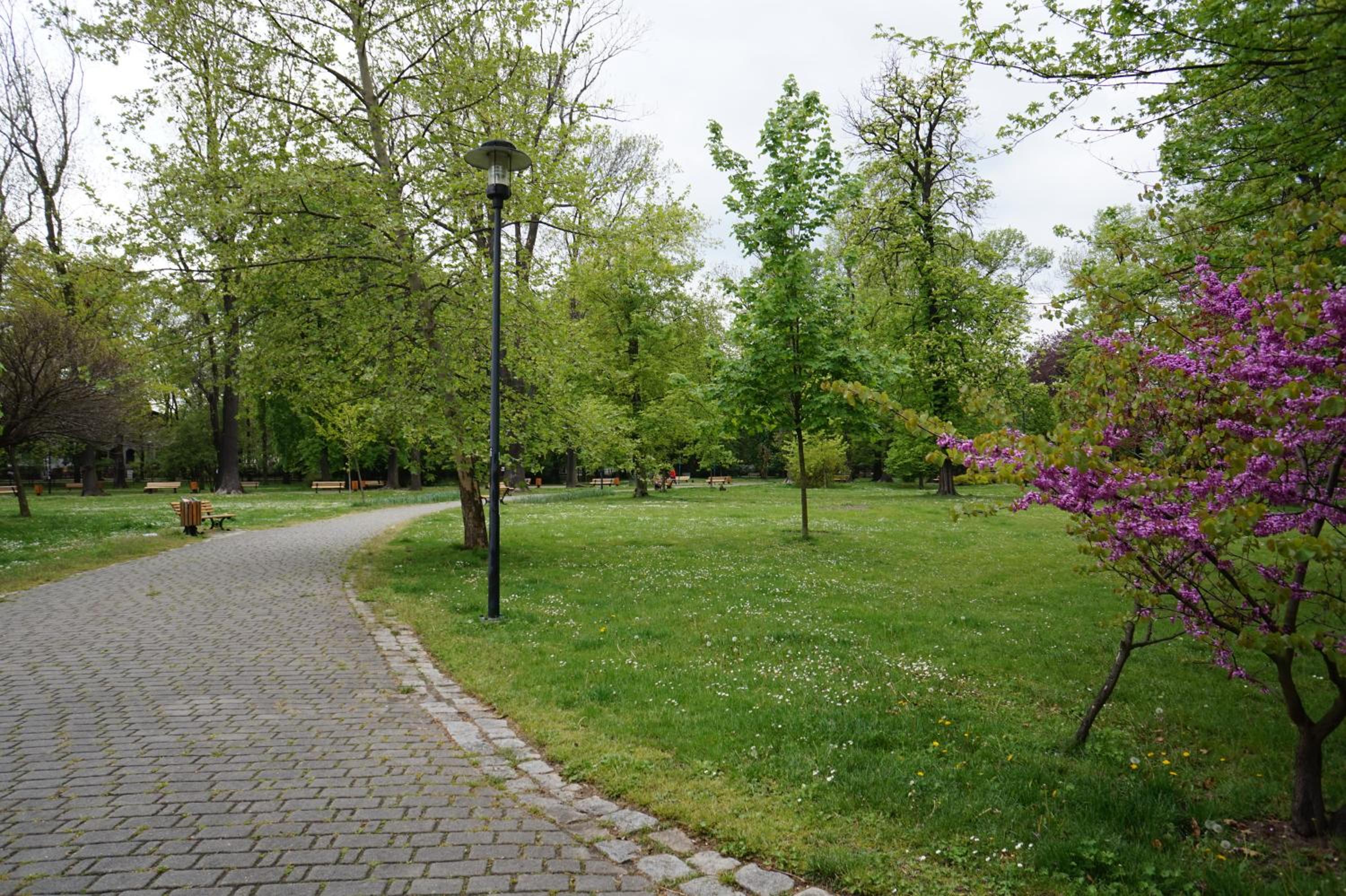 Photo 20