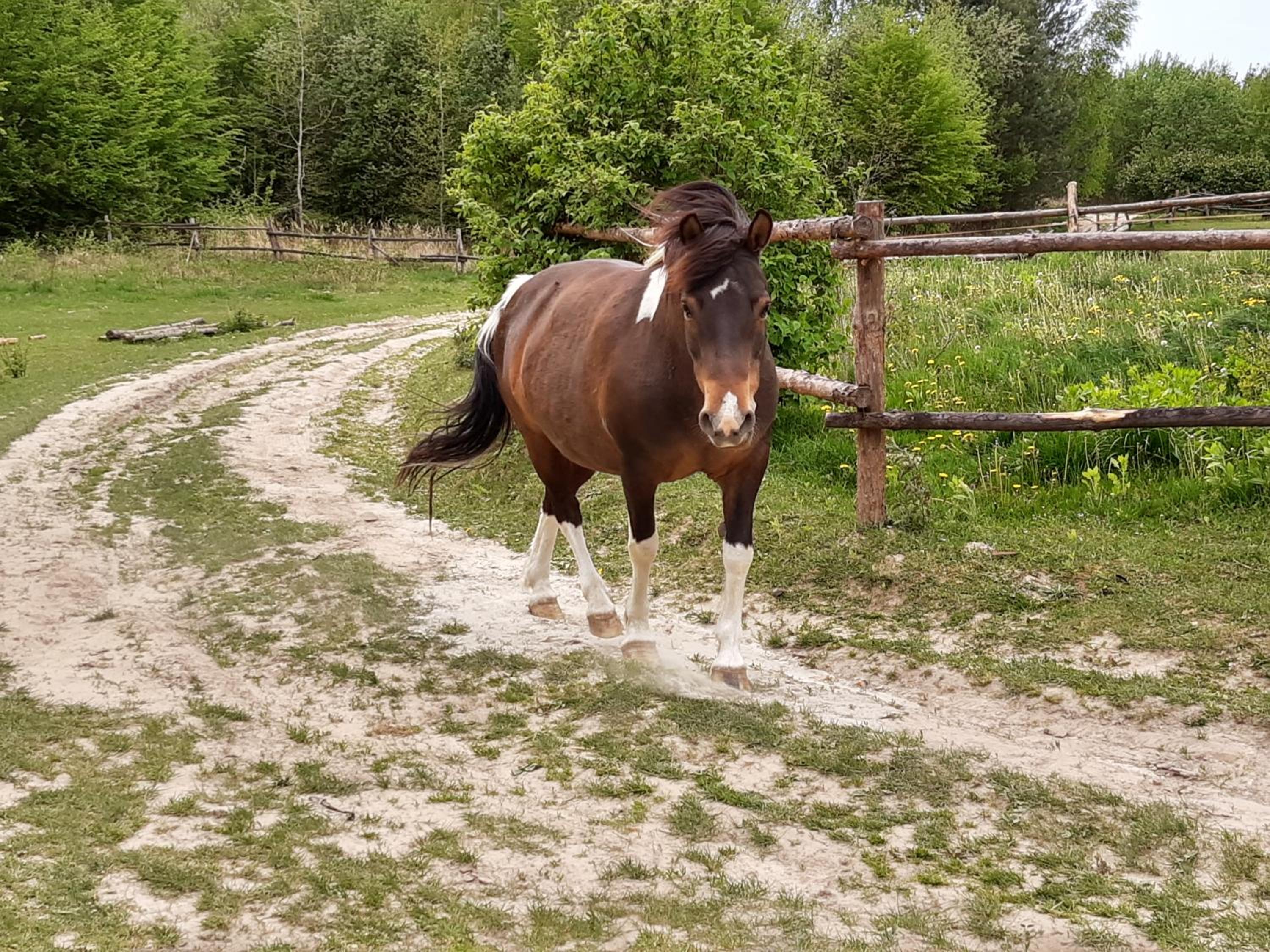 Wolna Republika Grabnik