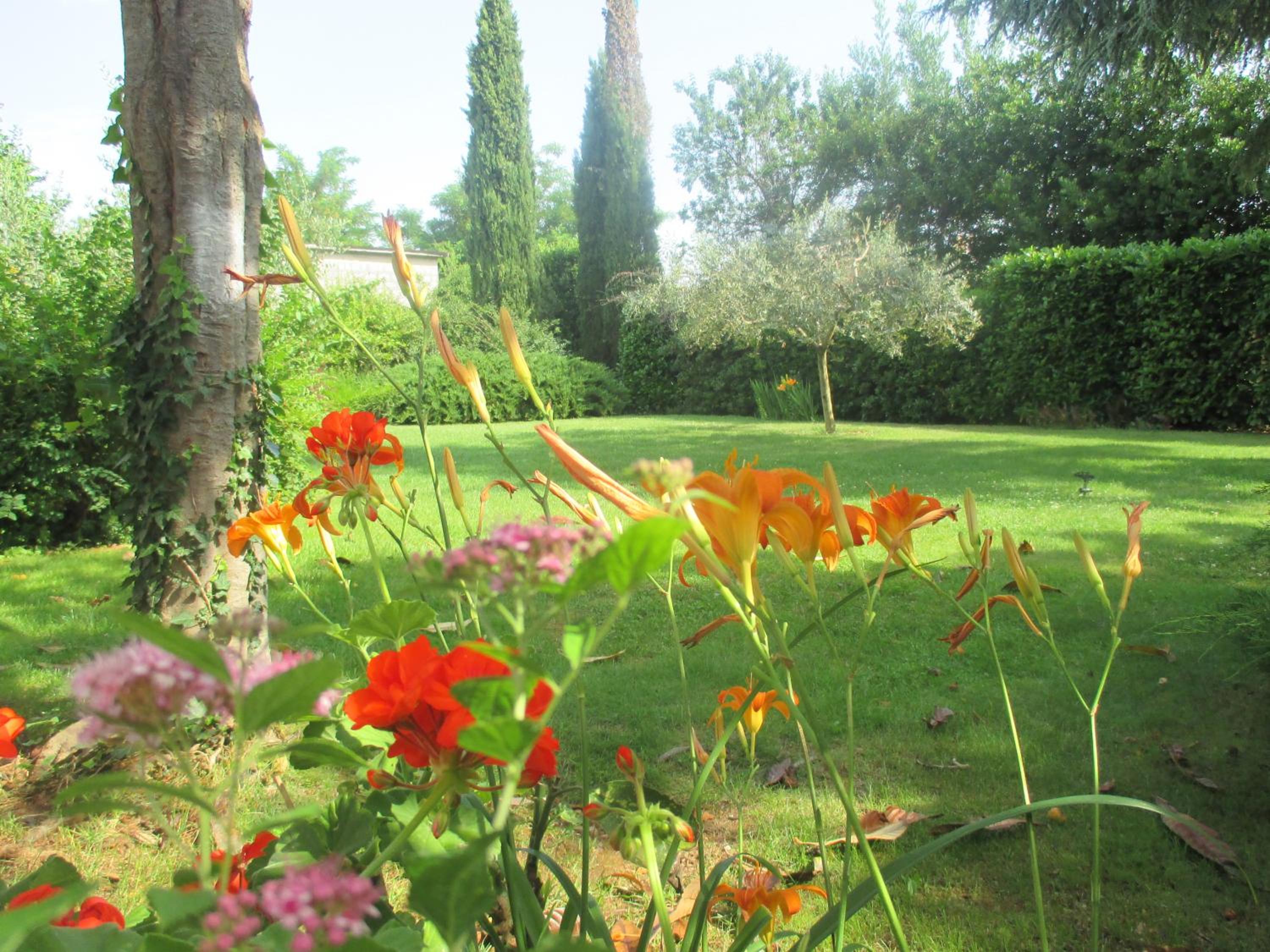 Photo 25