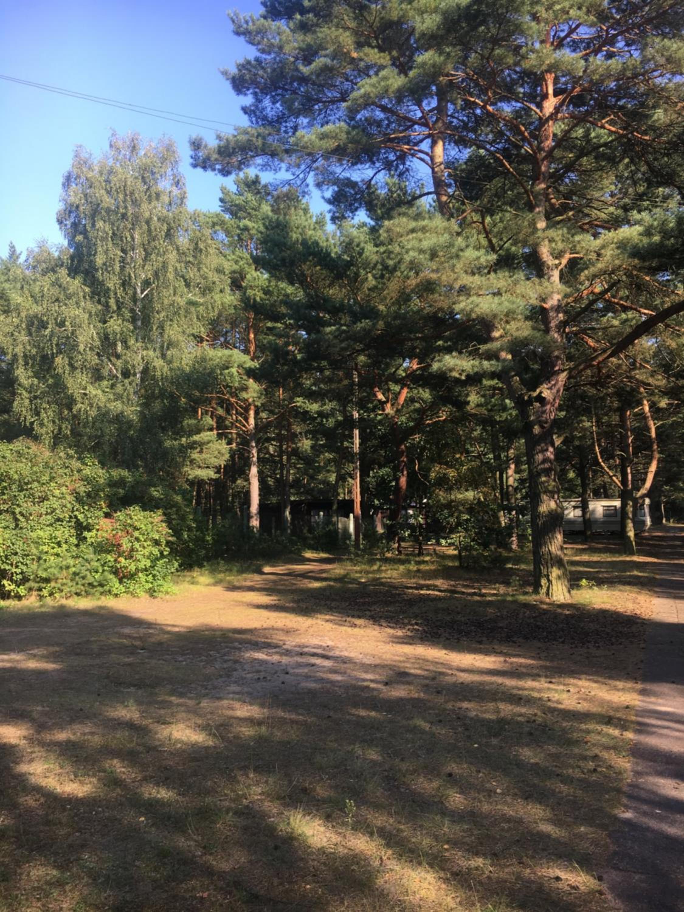 Camp Bursztynowy Las — photo 15