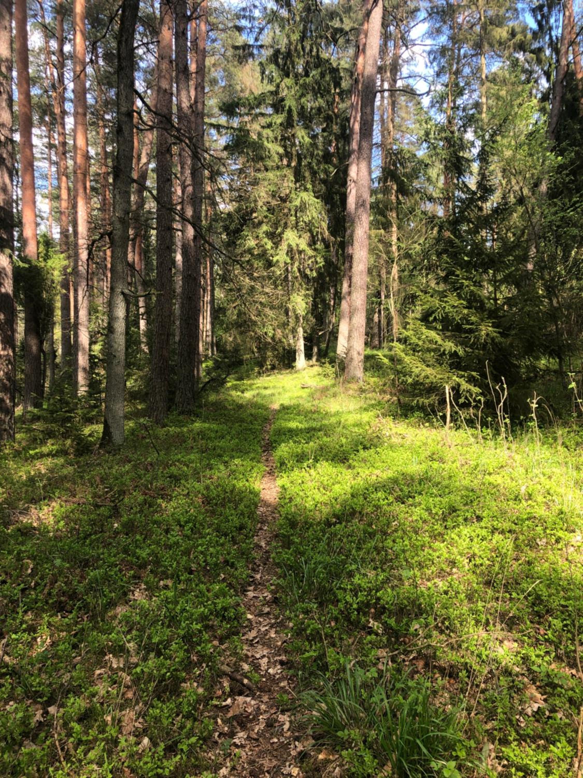 Photo 42