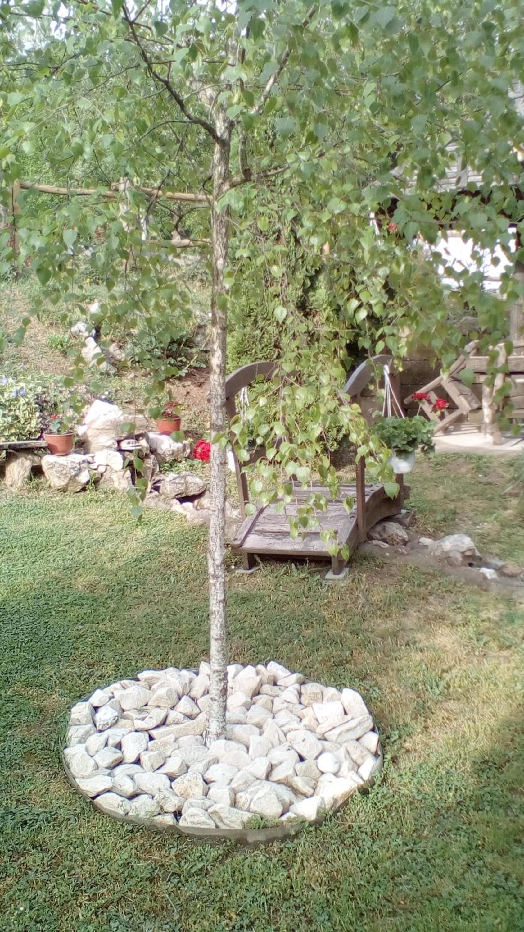 Photo 36