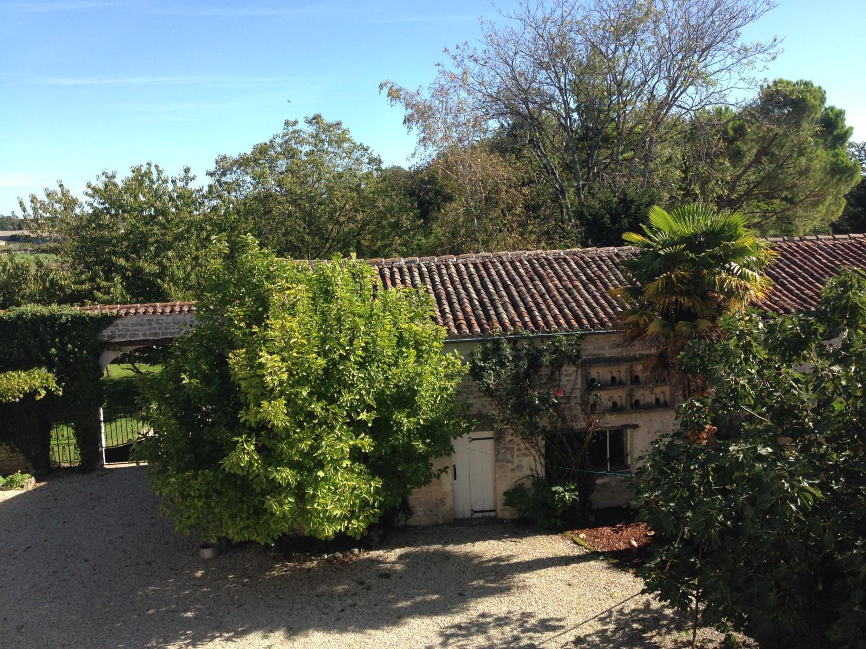 Photo 15