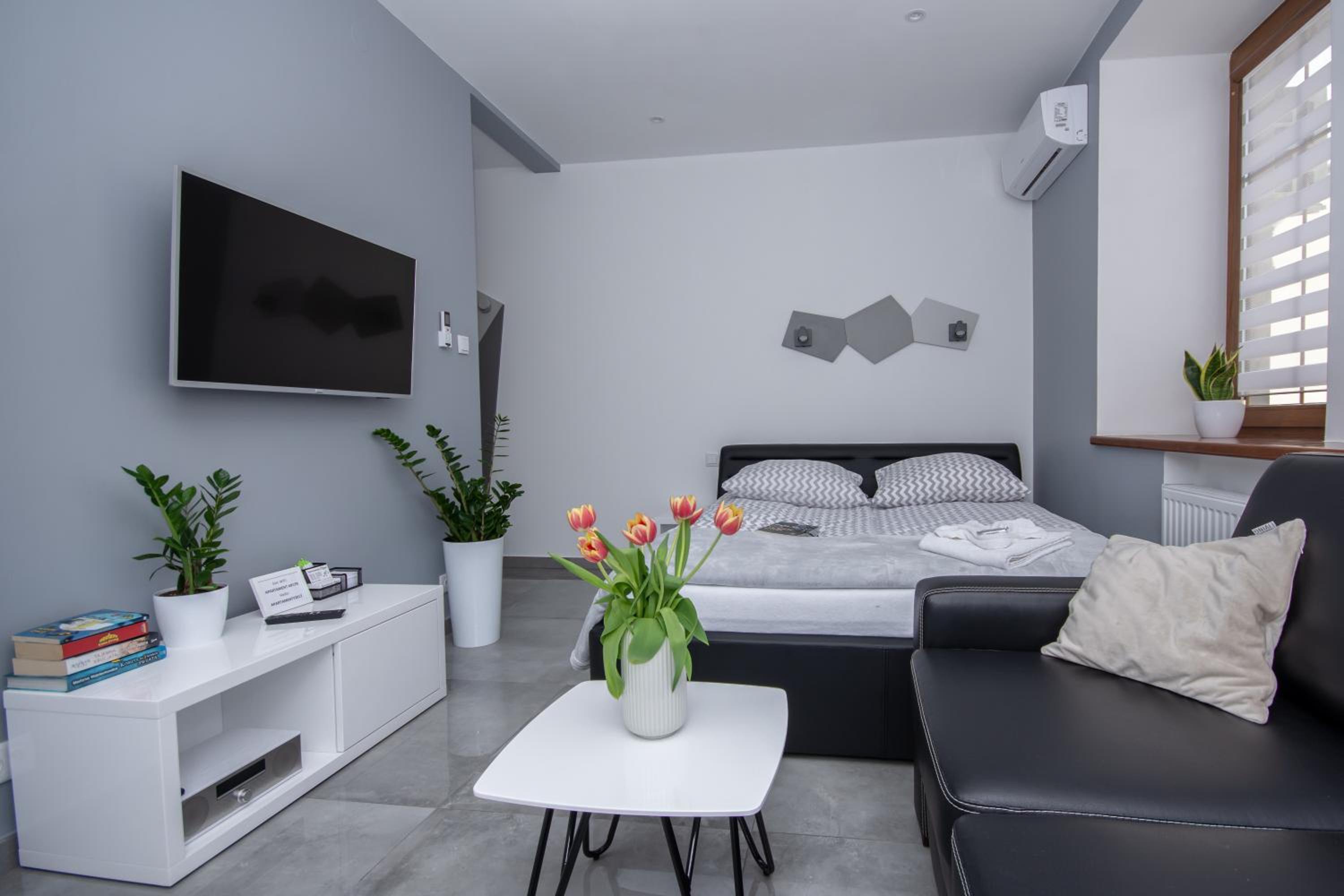 Apartamenty AP 12 view 2