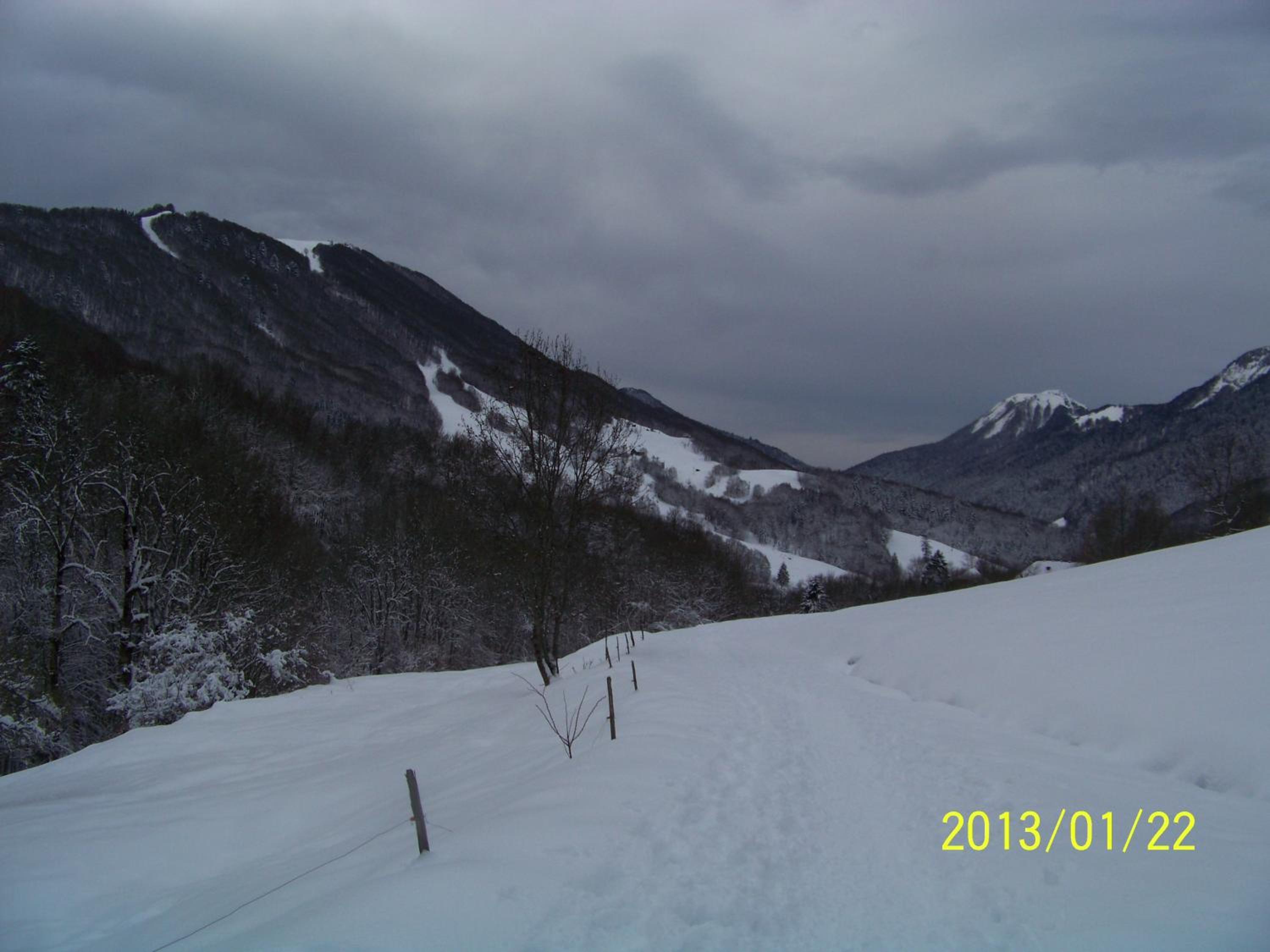 Photo 20