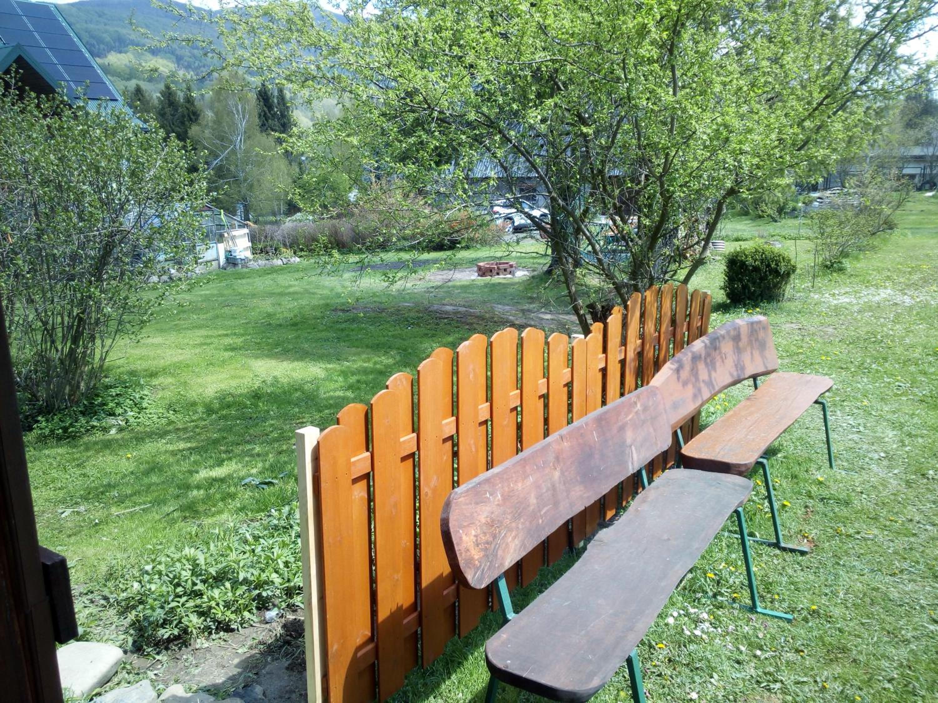 Photo 19