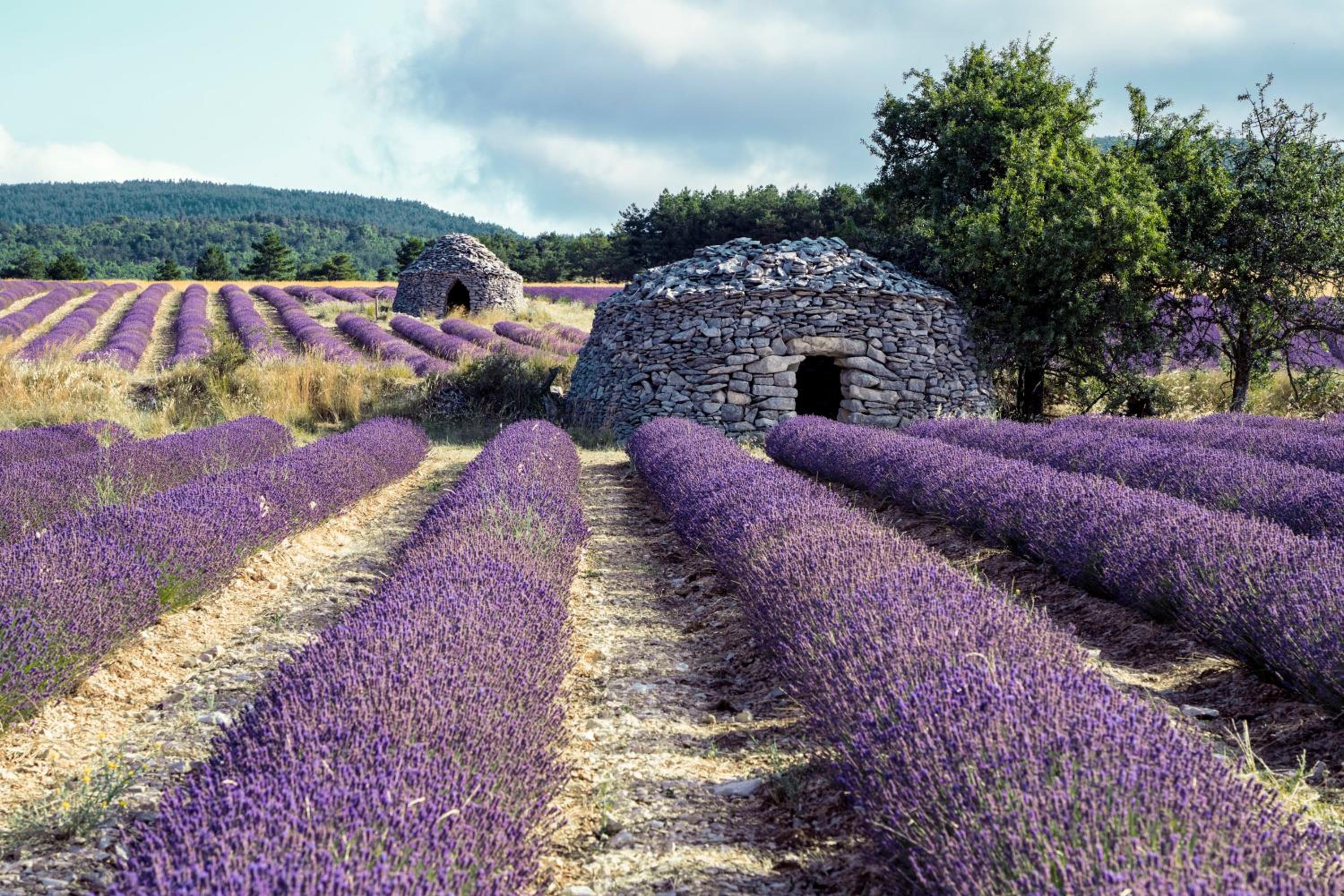 La Bastide des Bourguets - Adults Only view 3