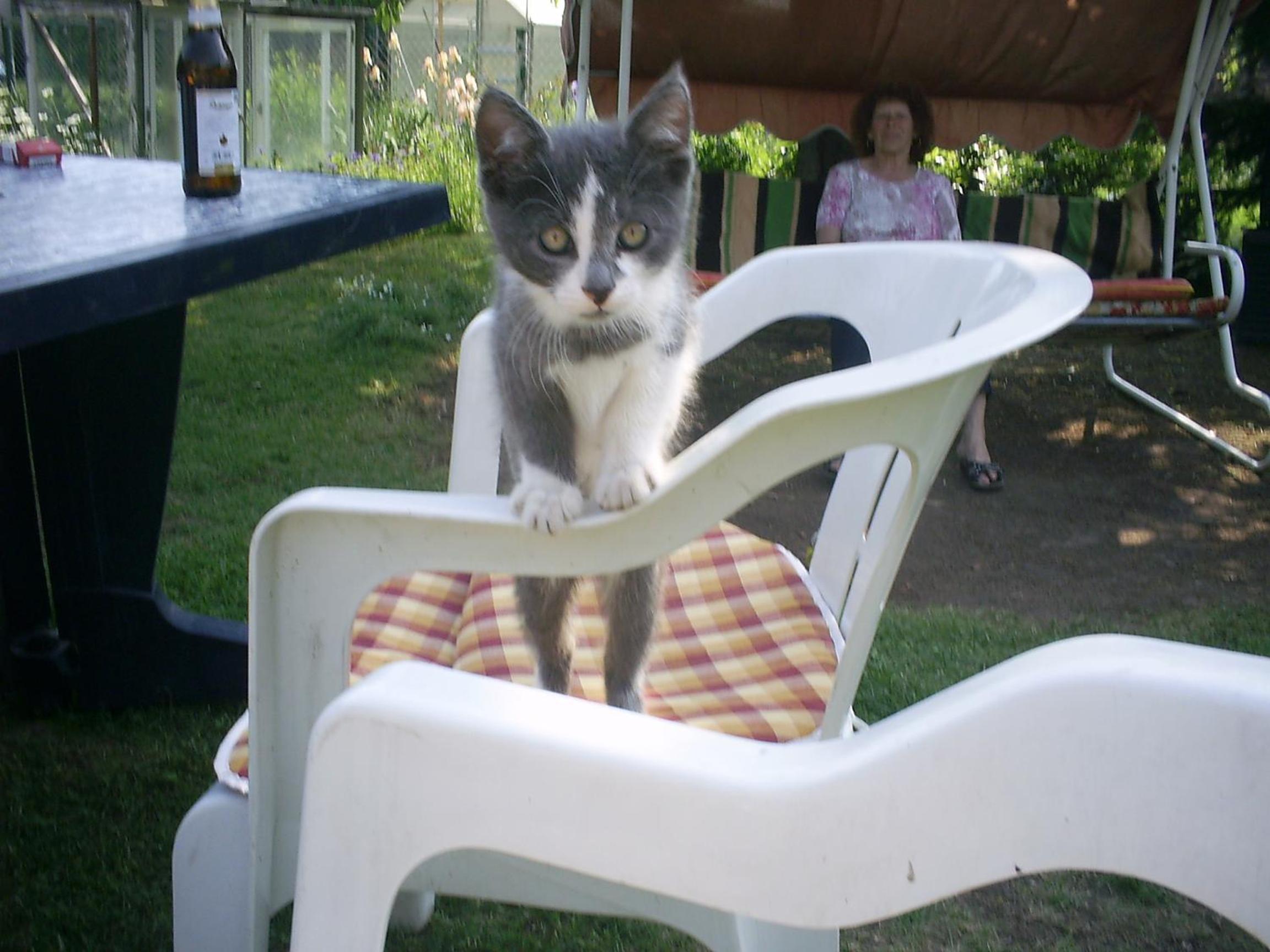 Photo 46