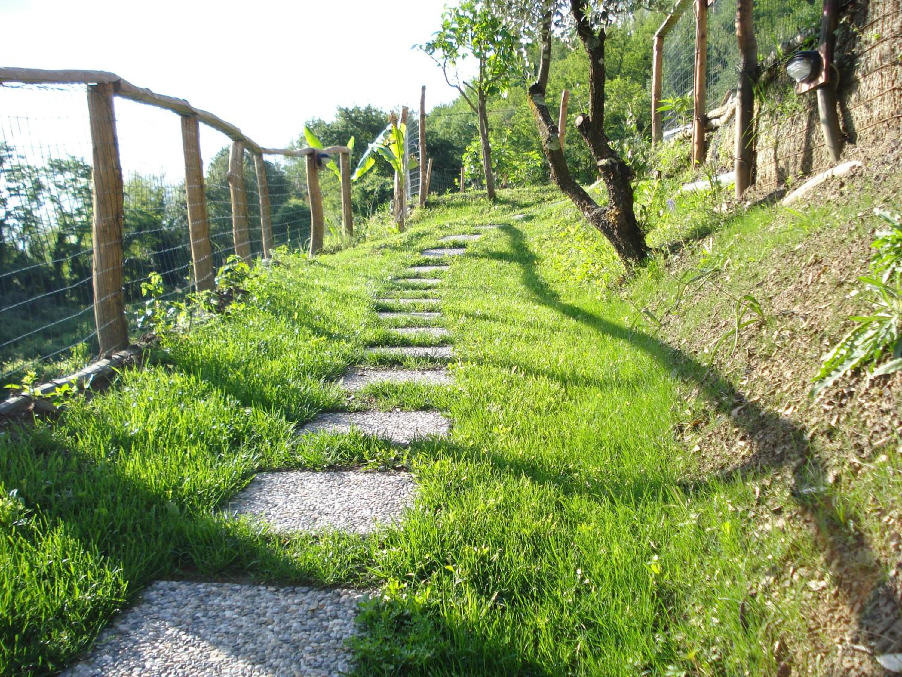 Casa Vacanze Lillo photo 3