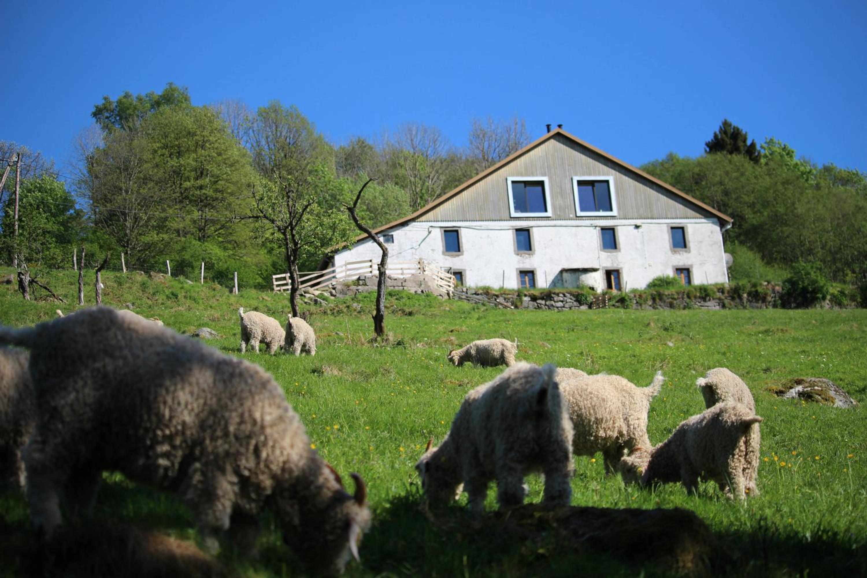 La Ferme sous les Hiez view 3