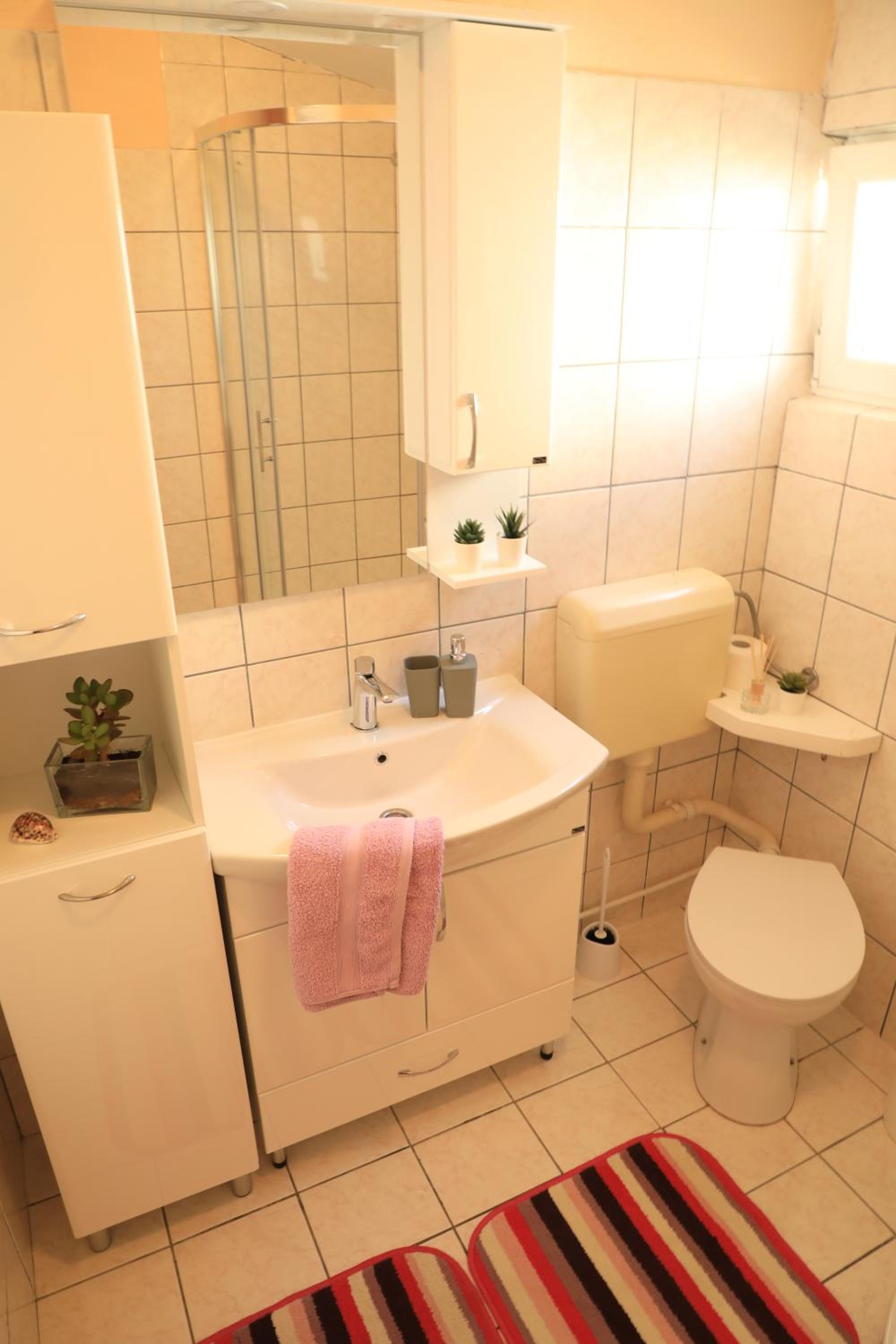 APARTMANI SARLIJA view 5