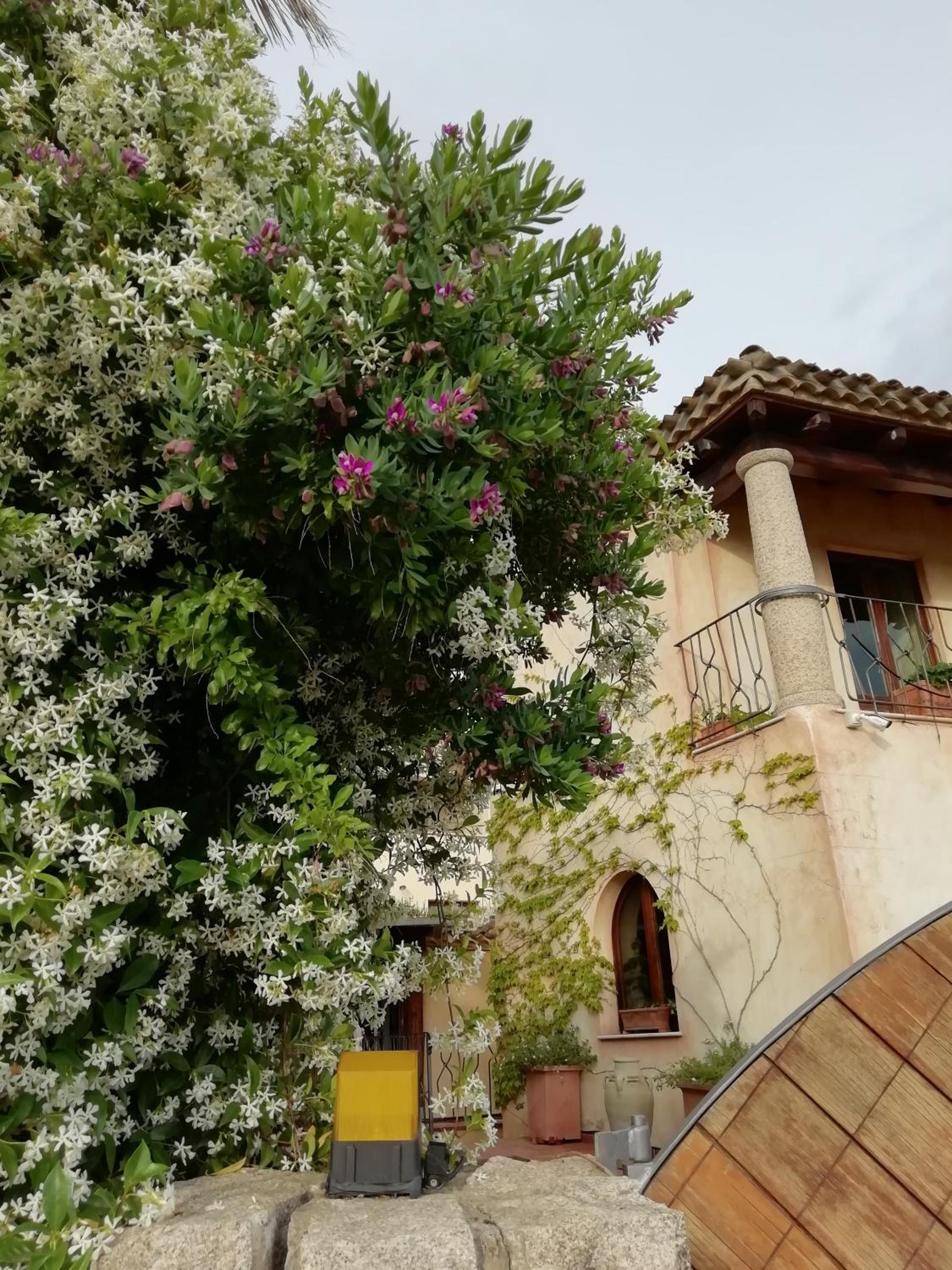 la forma dell'acqua view 3