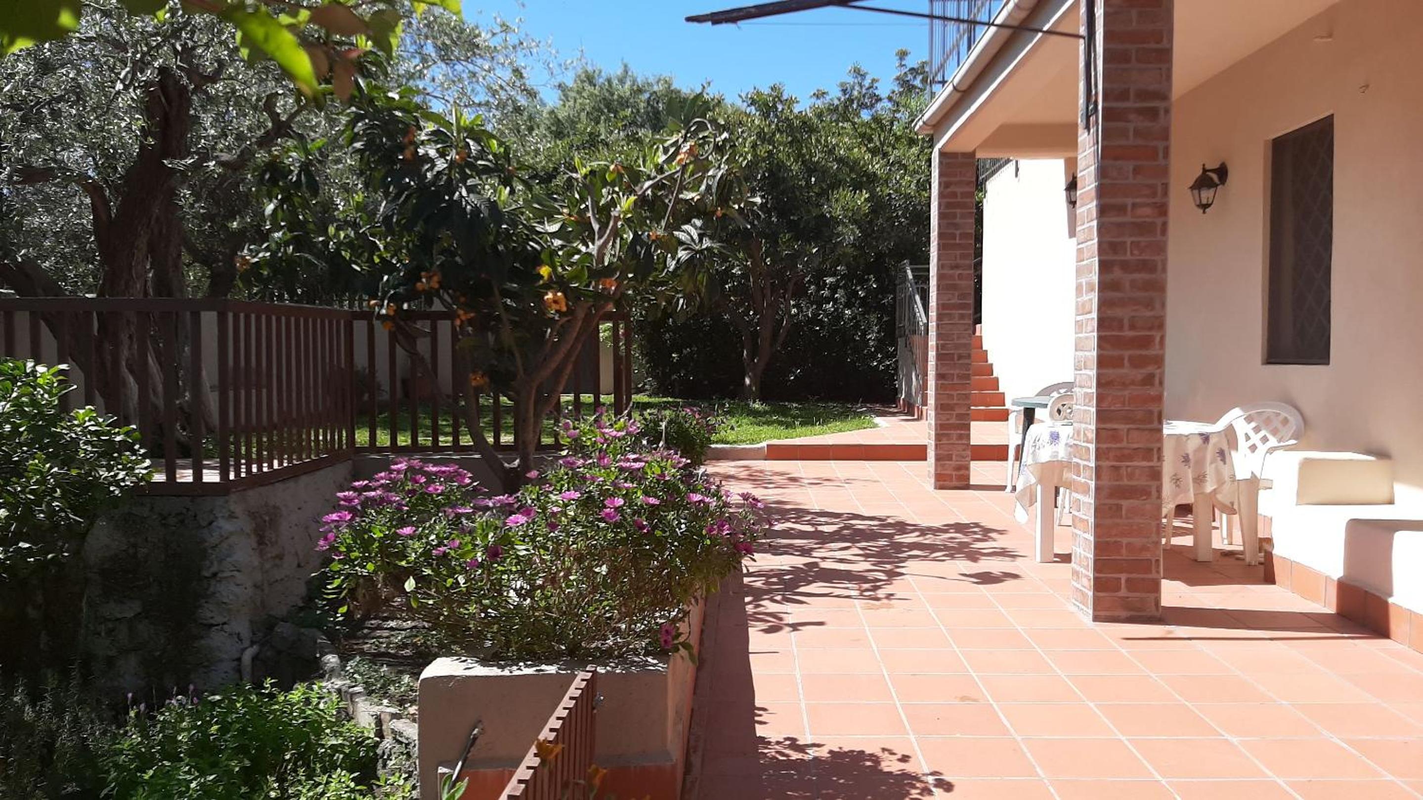 Carrubo - Giardino in città