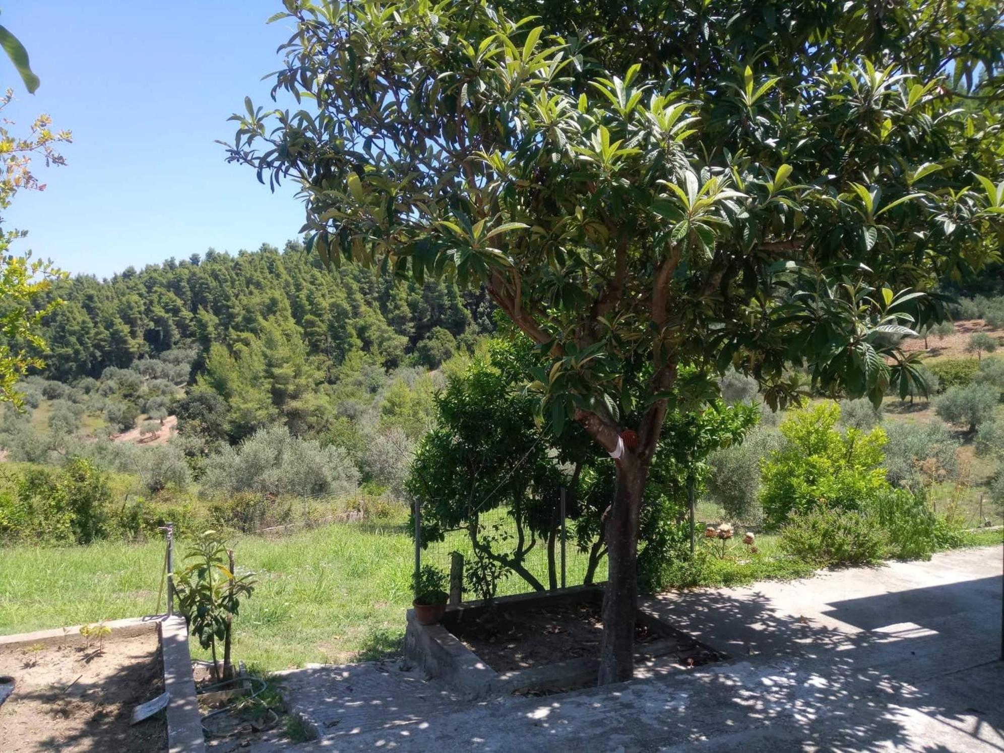 Wildherb House view 2