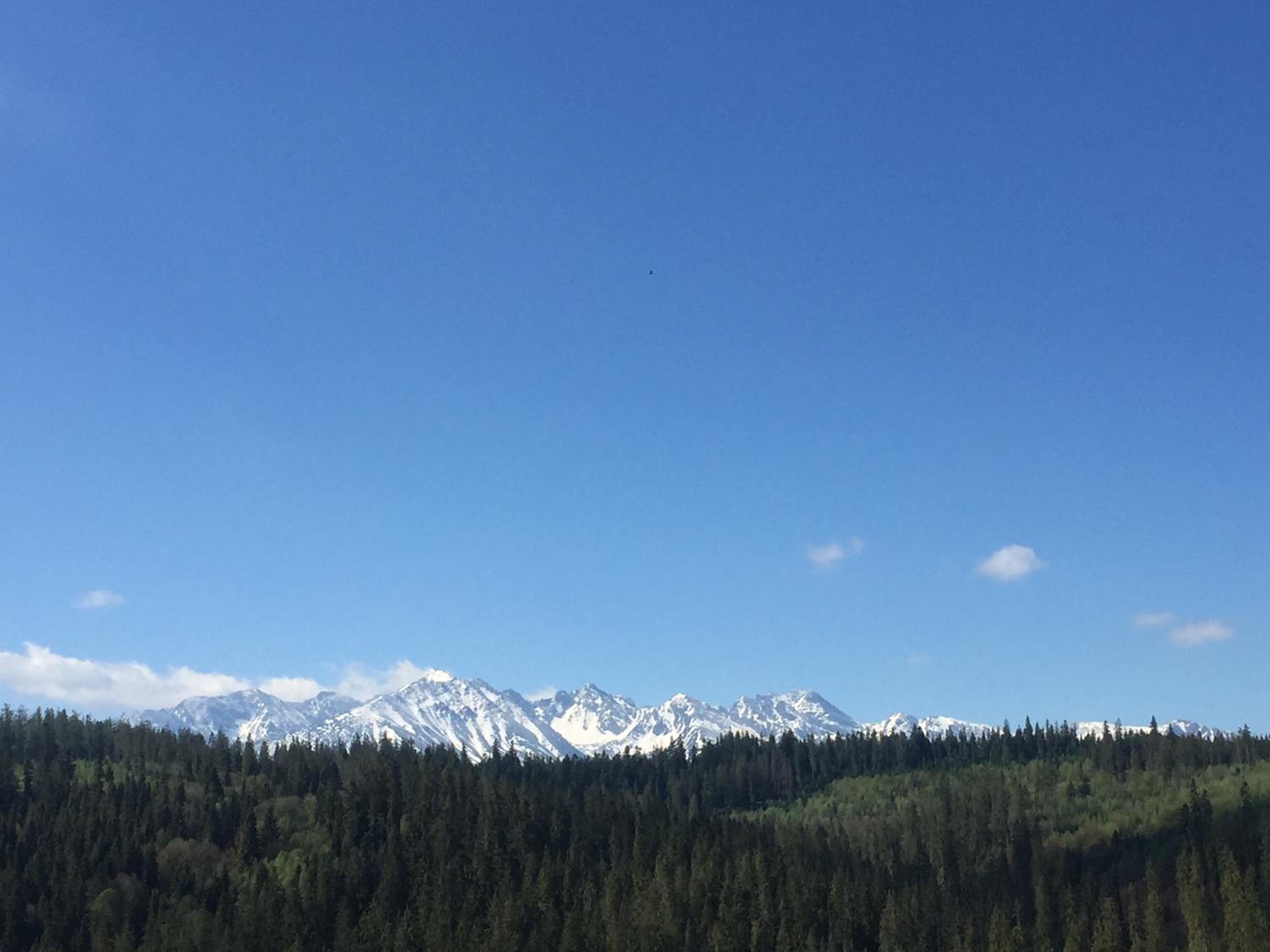 Willa Za Potokiem view 3