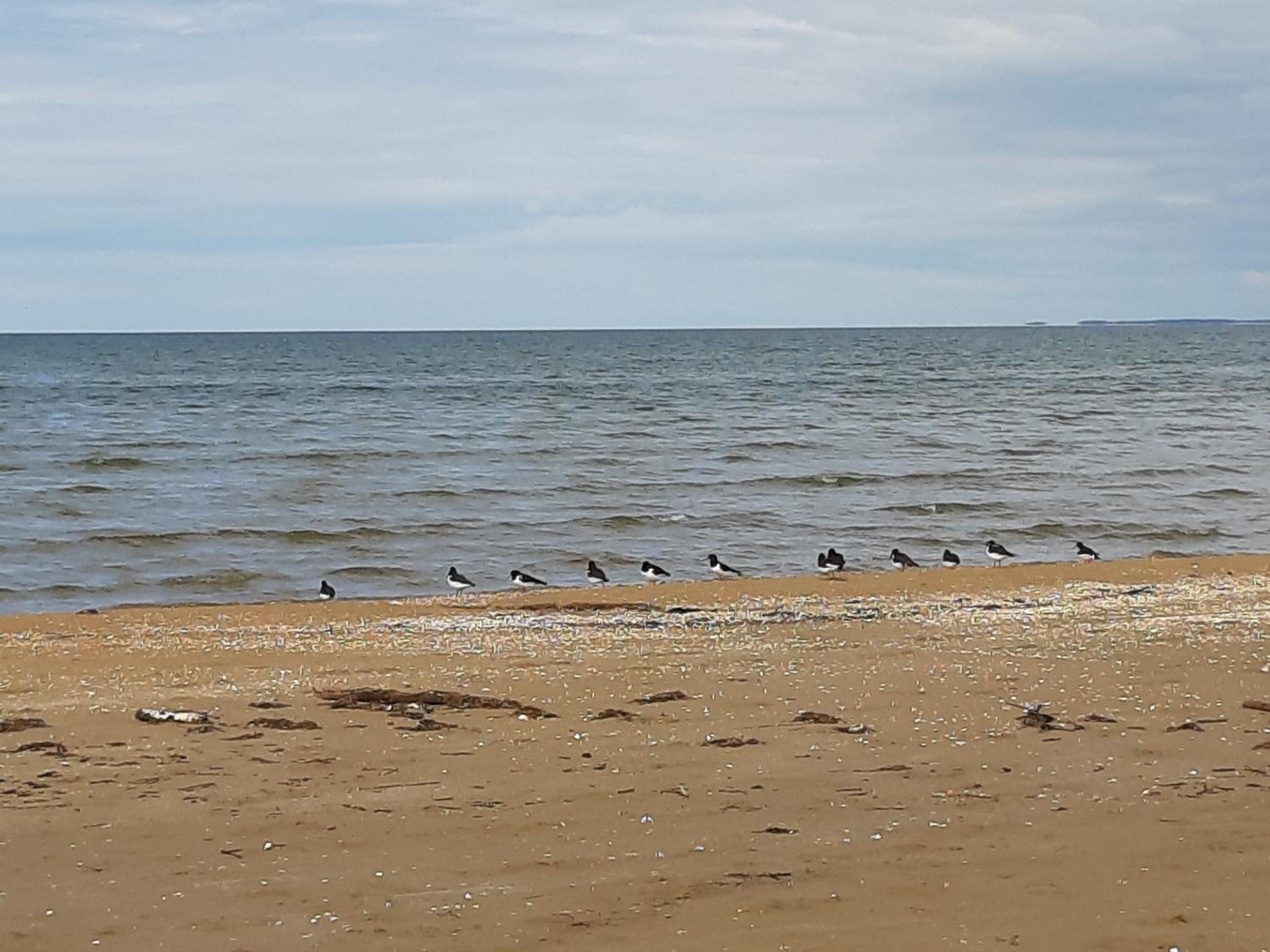 Strandläge