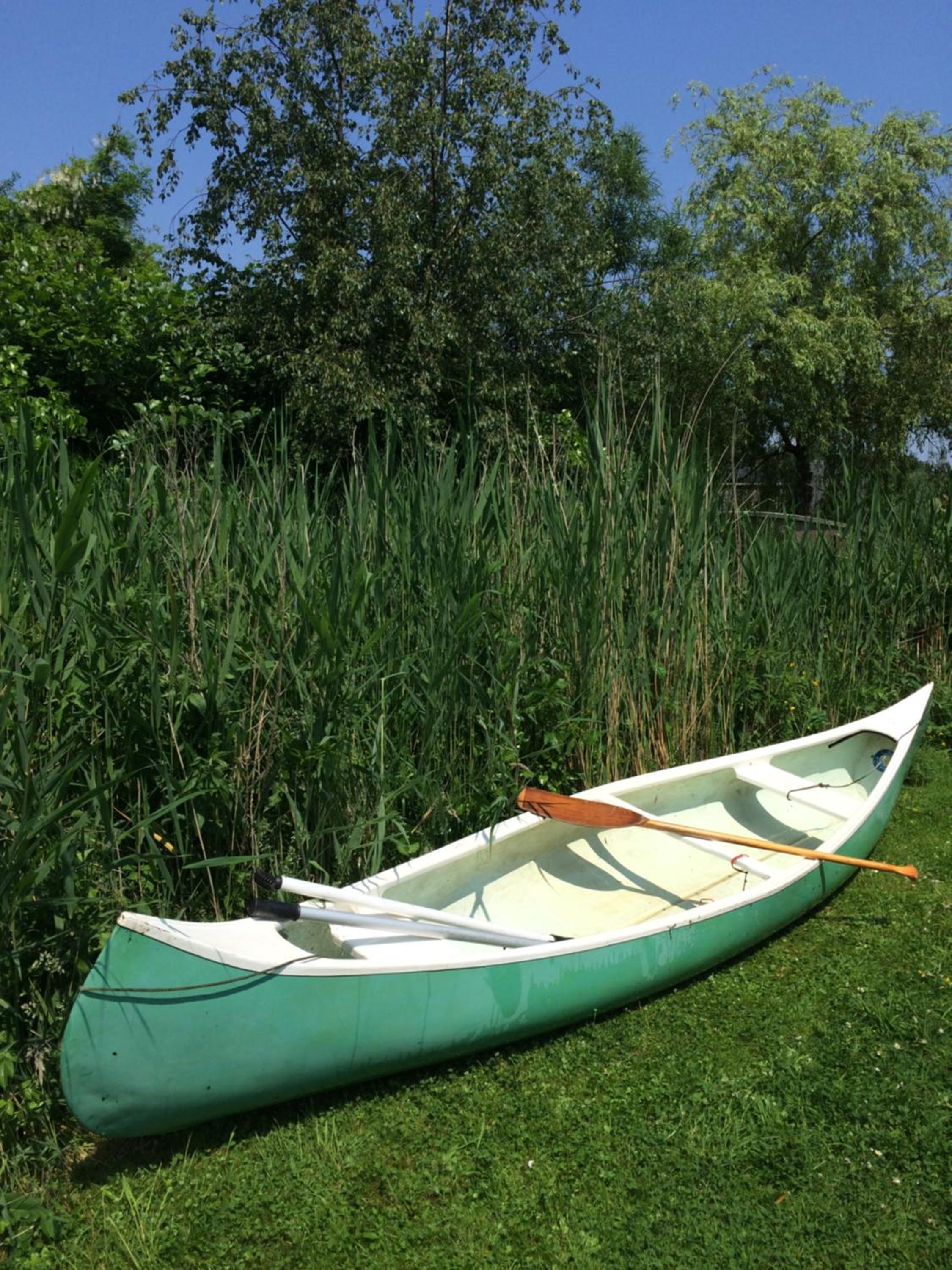 Gipsy wagon near Amsterdam and beach, photo 4