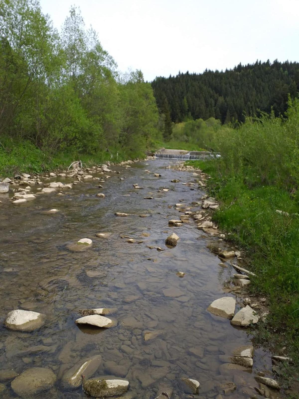 Photo 24