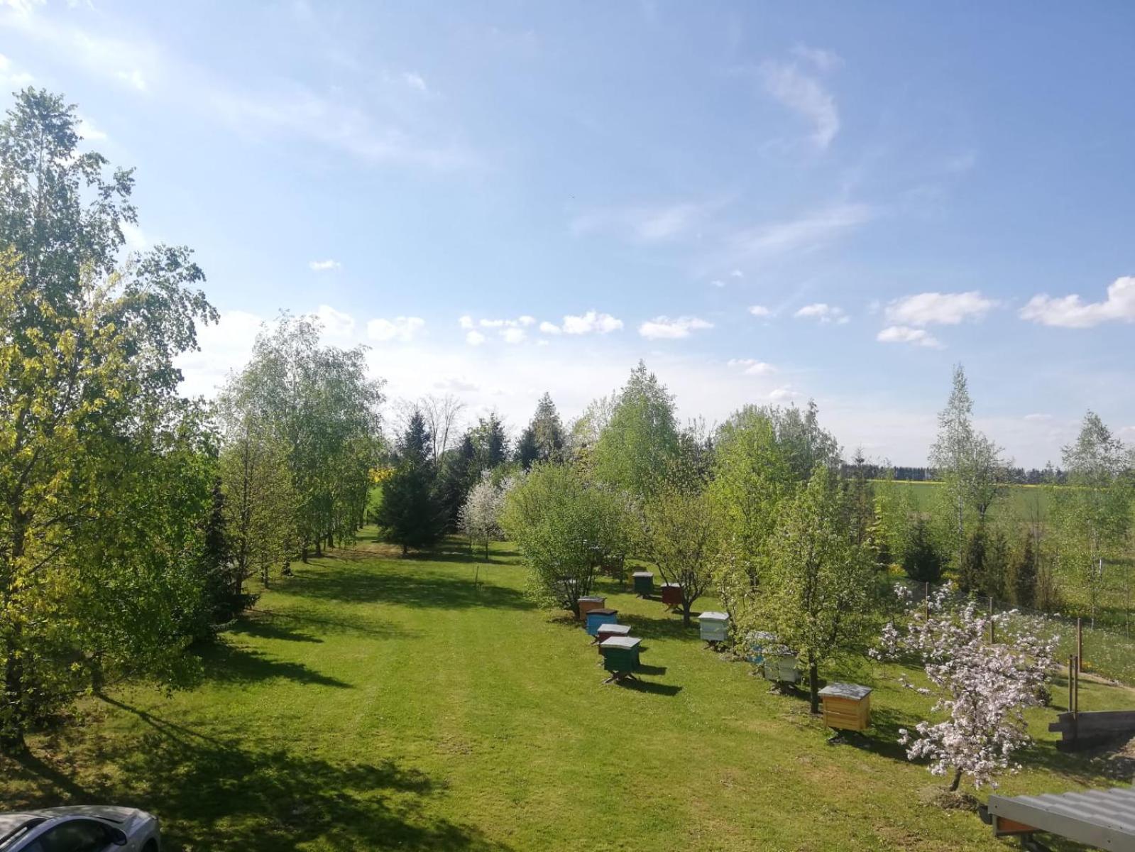 Photo 19