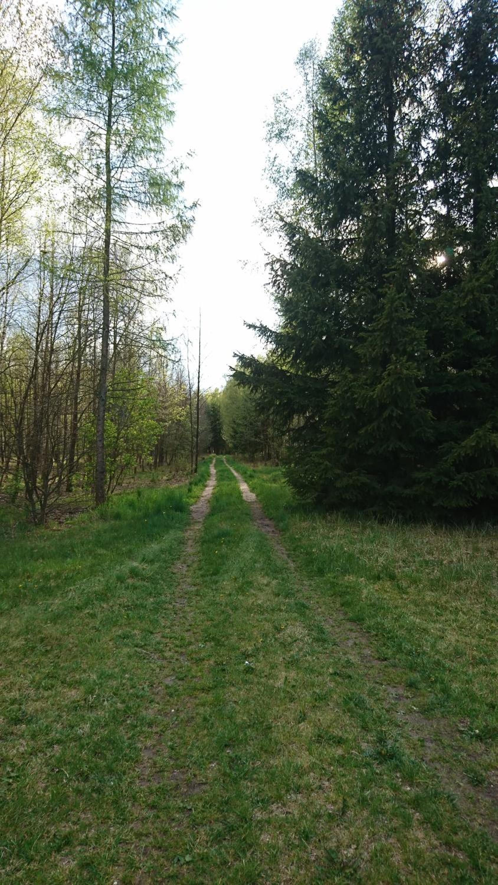 Photo 35