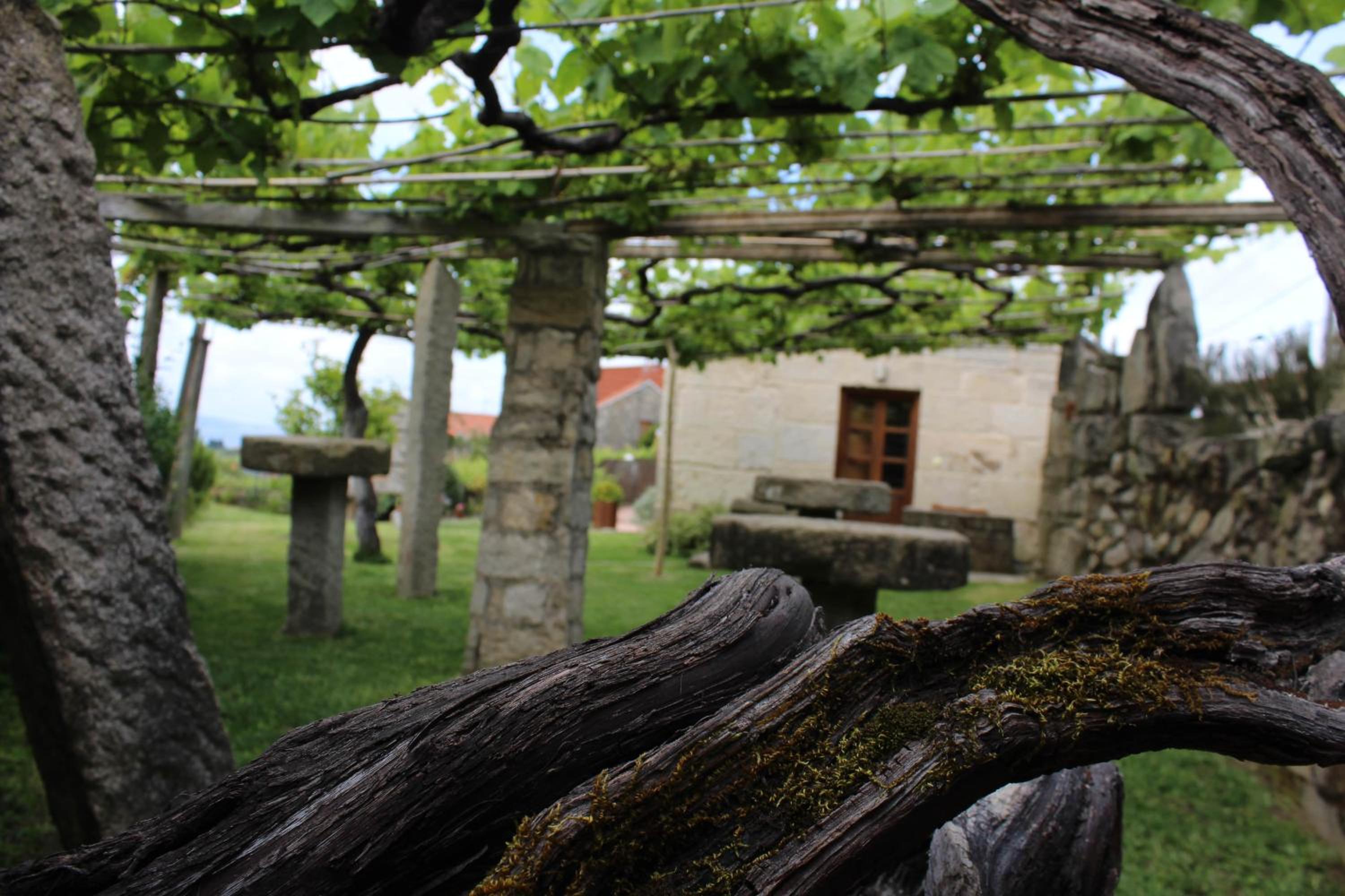 Casa Rural A Bouciña photo 4